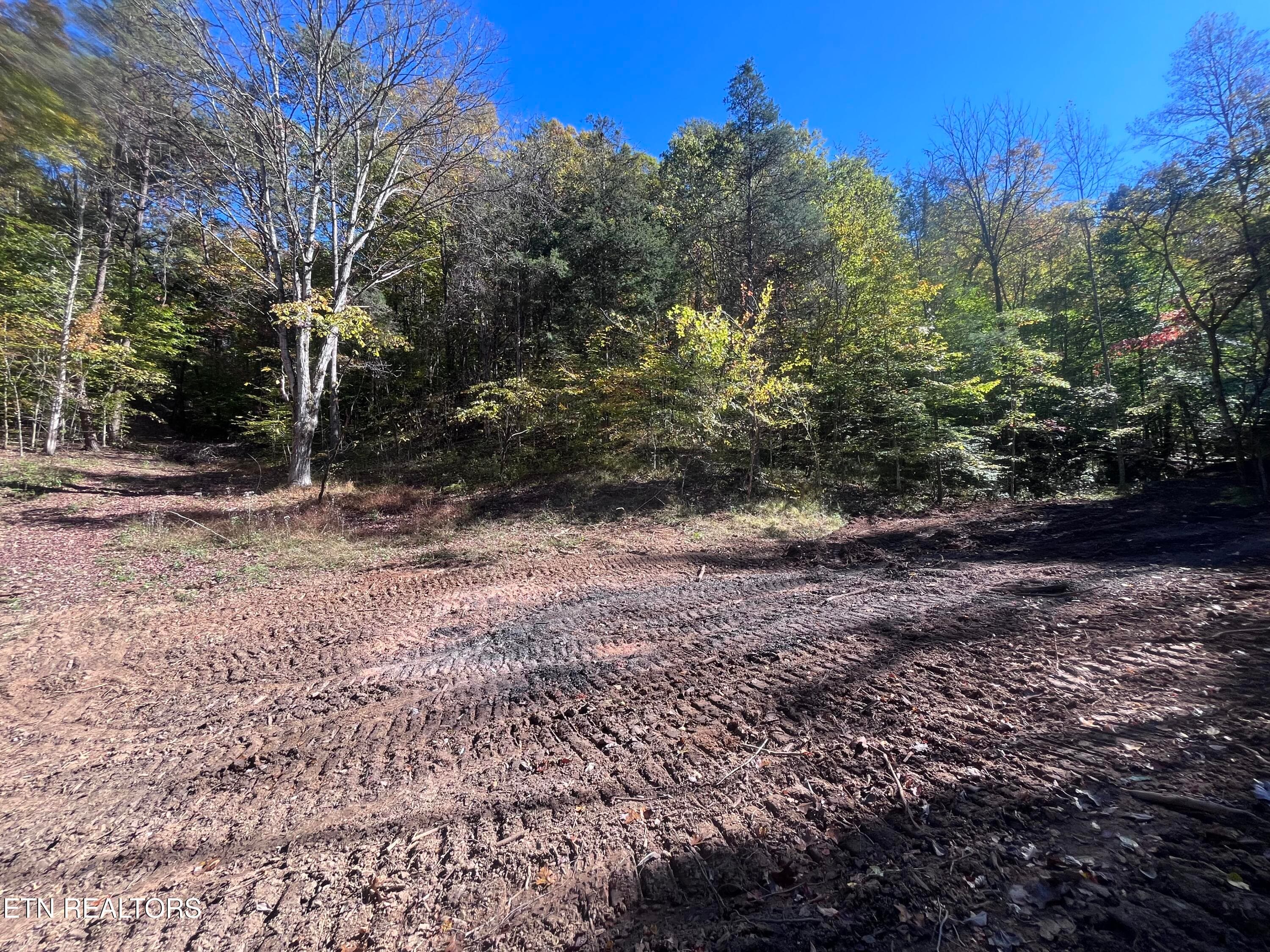 Tower Rd, Tazewell, TN 37879