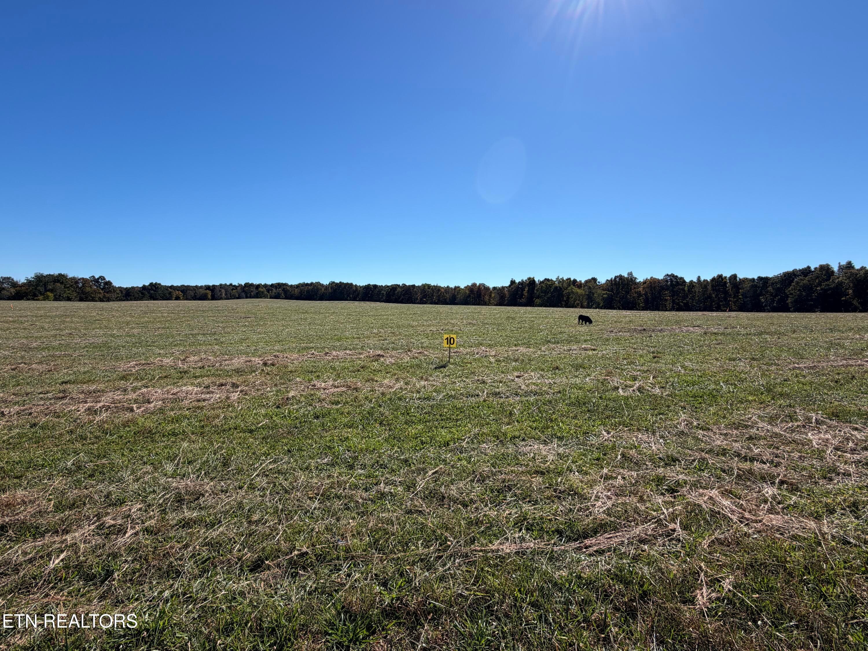 IMG_3426 - Poke Patch Rd, Crossville, TN 38572