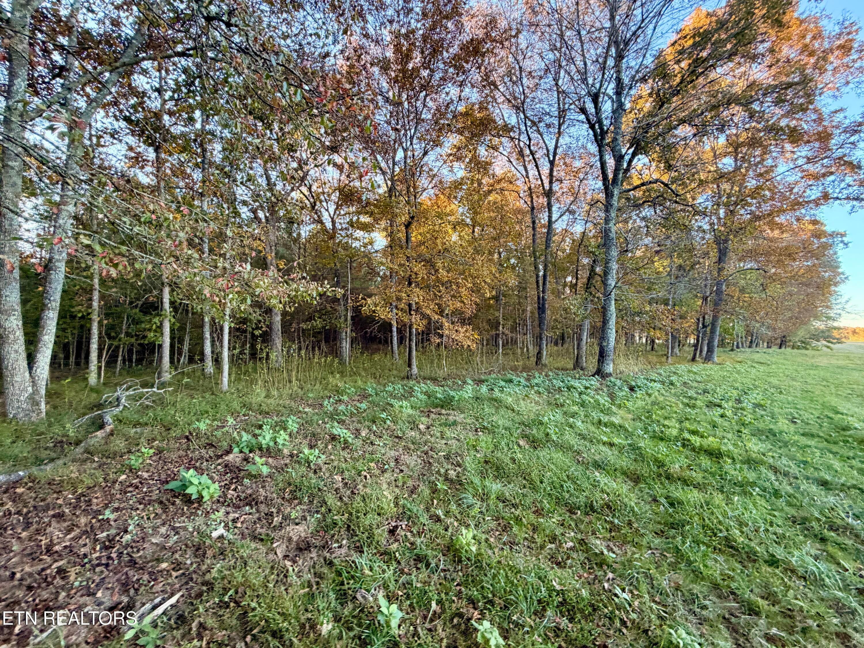 IMG_6108 - Poke Patch Rd, Crossville, TN 38572