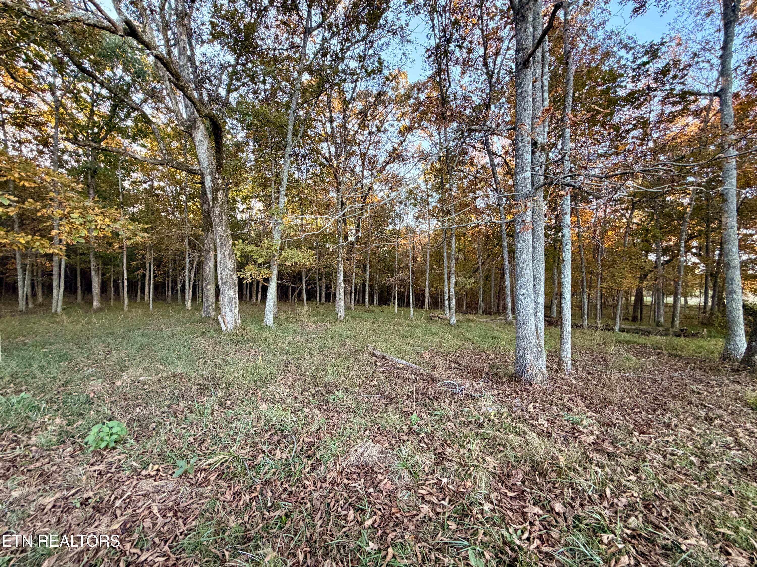 IMG_6111 - Poke Patch Rd, Crossville, TN 38572