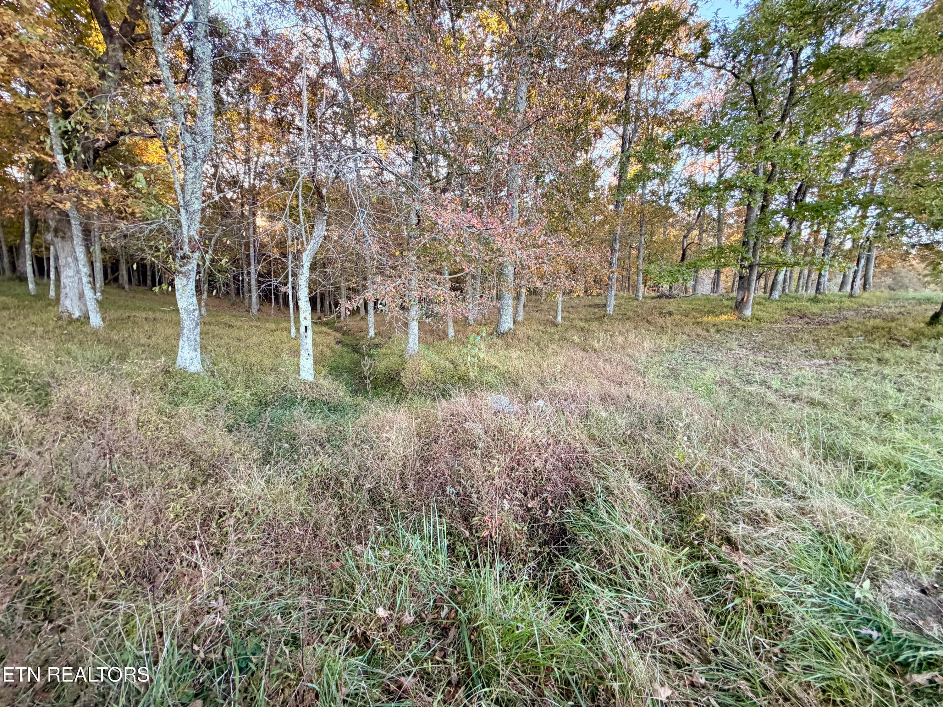 IMG_6112 - Poke Patch Rd, Crossville, TN 38572