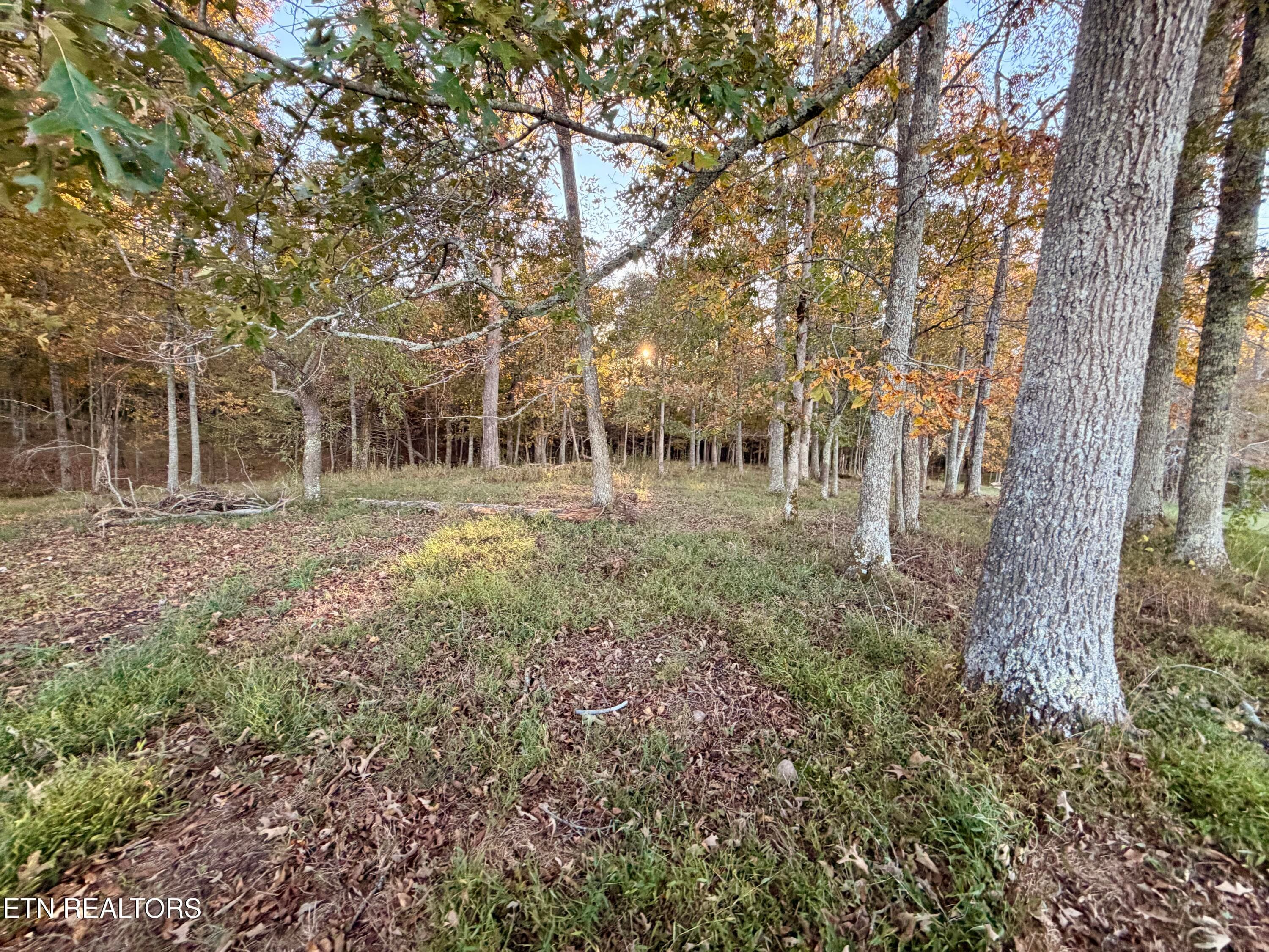IMG_6115 - Poke Patch Rd, Crossville, TN 38572