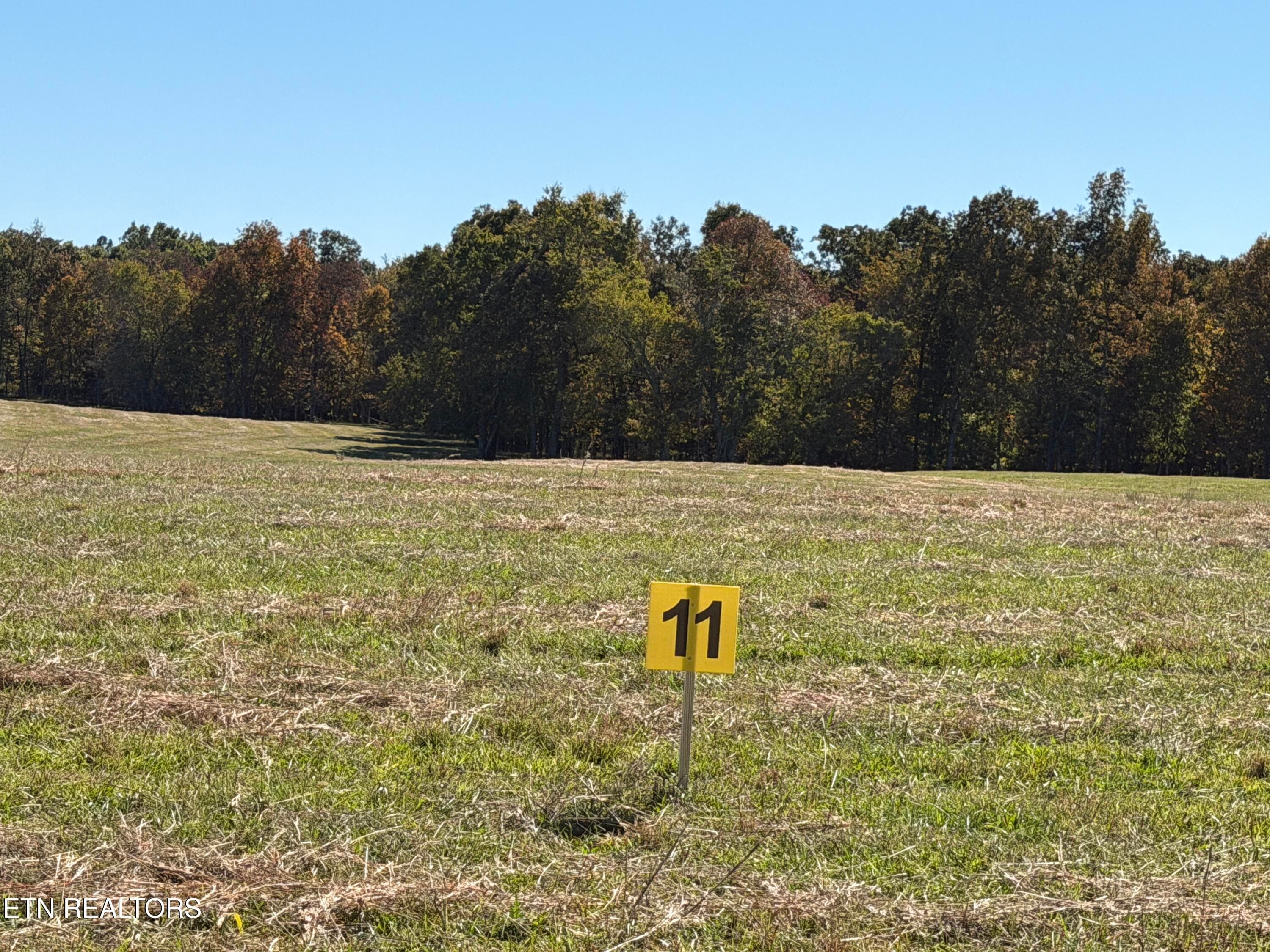 _ Main IMG_3427 - Poke Patch Rd, Crossville, TN 38572
