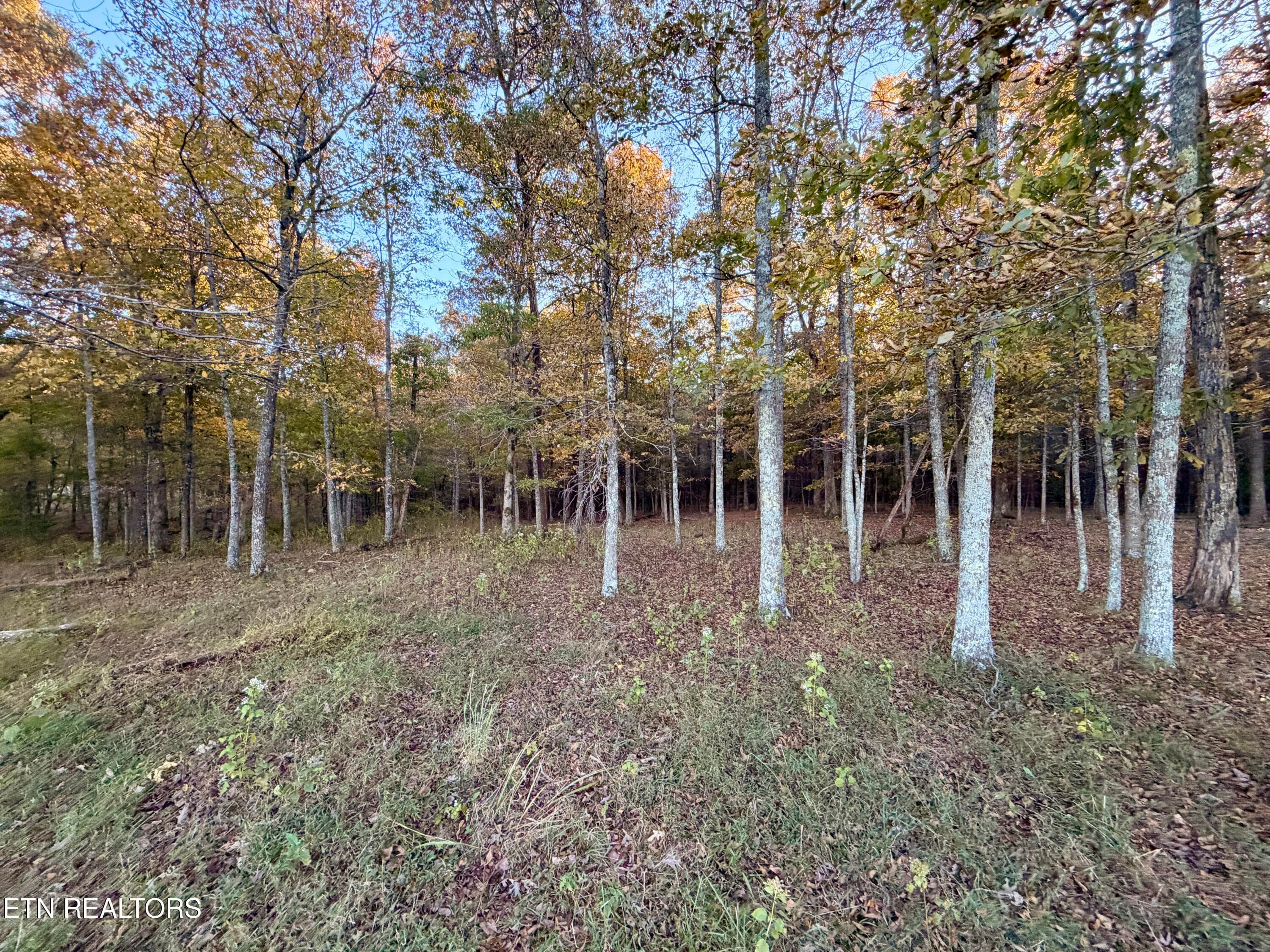 12 - Poke Patch Rd, Crossville, TN 38572