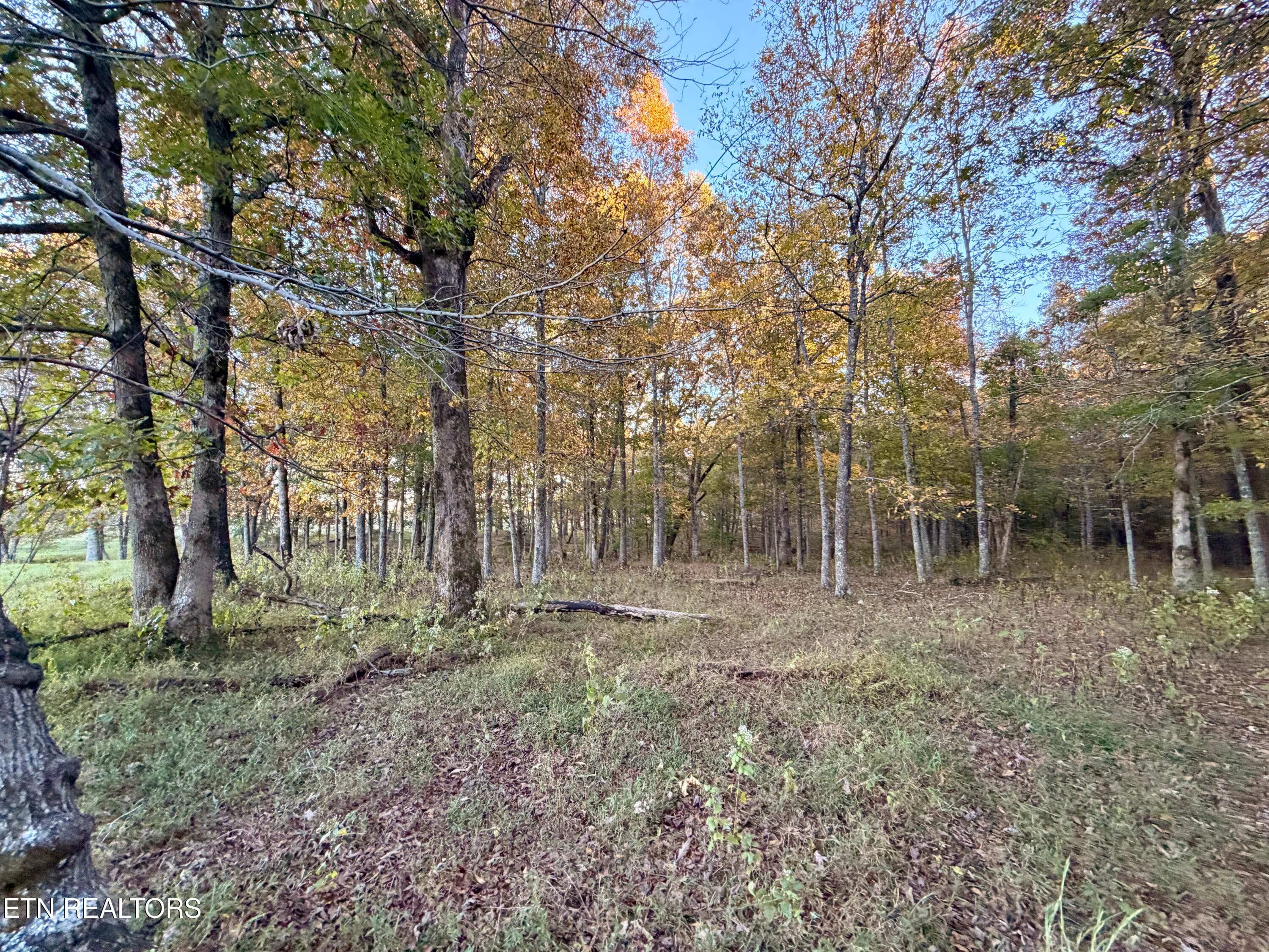 16 - Poke Patch Rd, Crossville, TN 38572