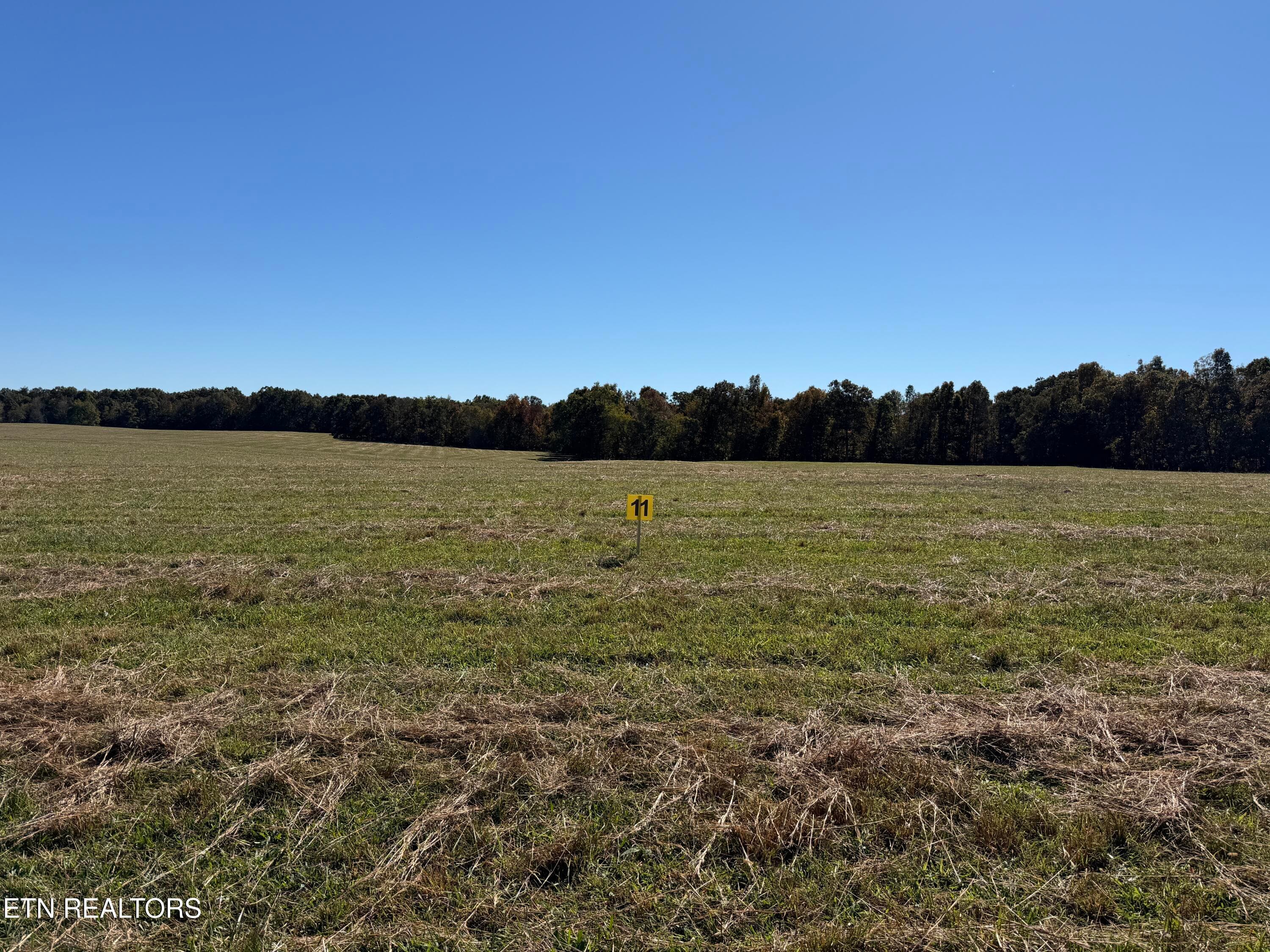 IMG_3428 - Poke Patch Rd, Crossville, TN 38572
