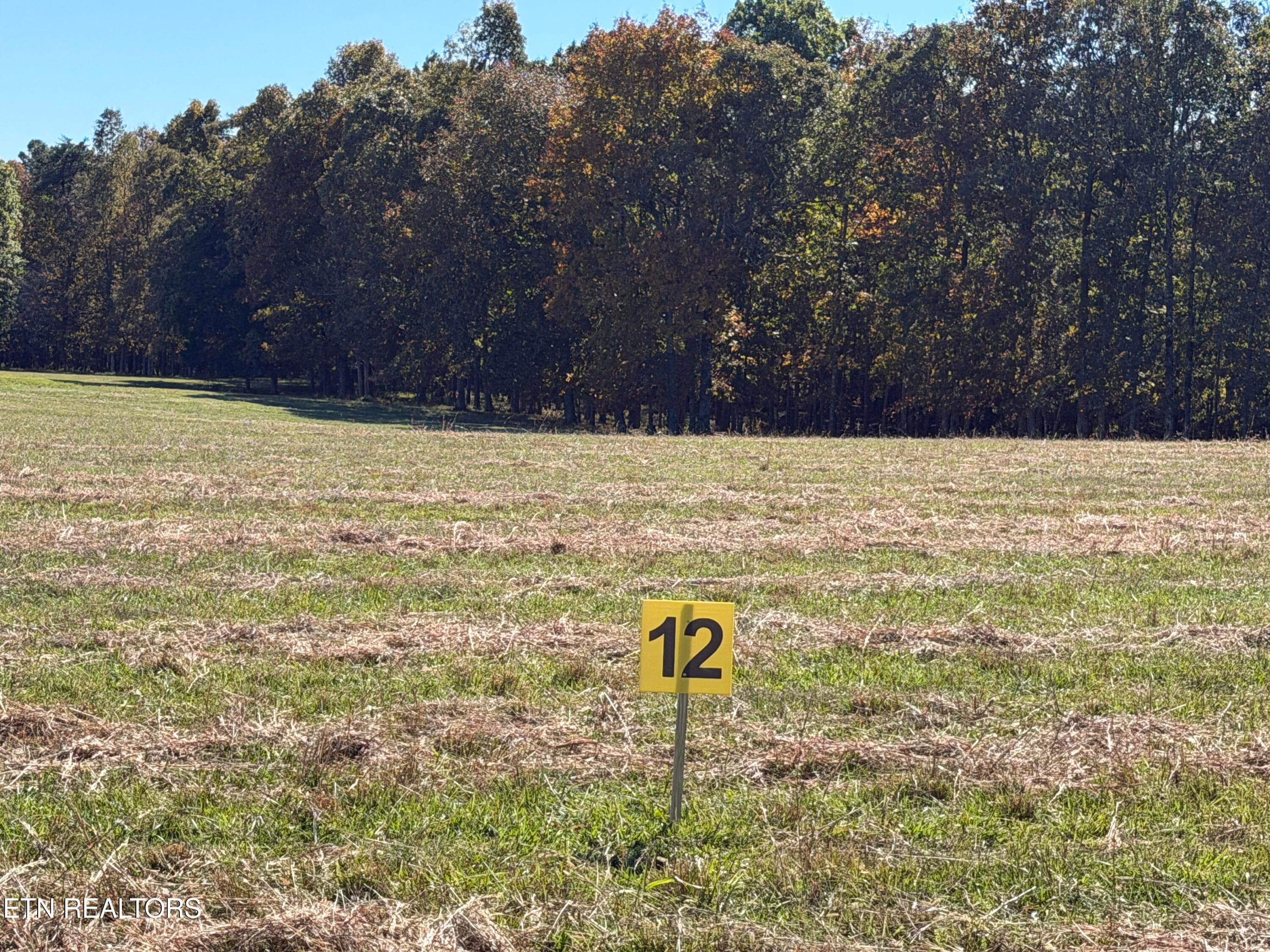 _ Main IMG_3432 - Poke Patch Rd, Crossville, TN 38572