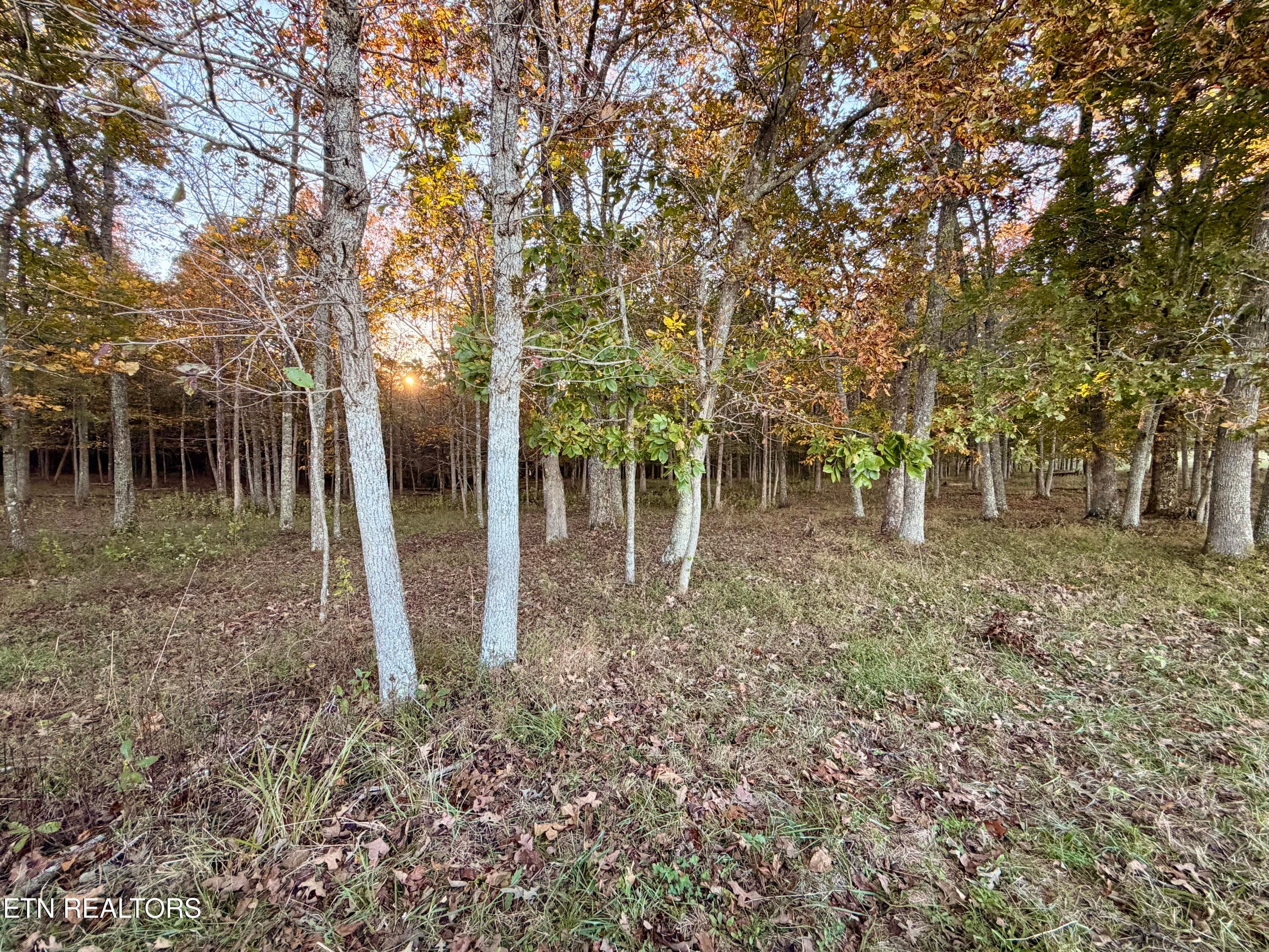 5 - Poke Patch Rd, Crossville, TN 38572