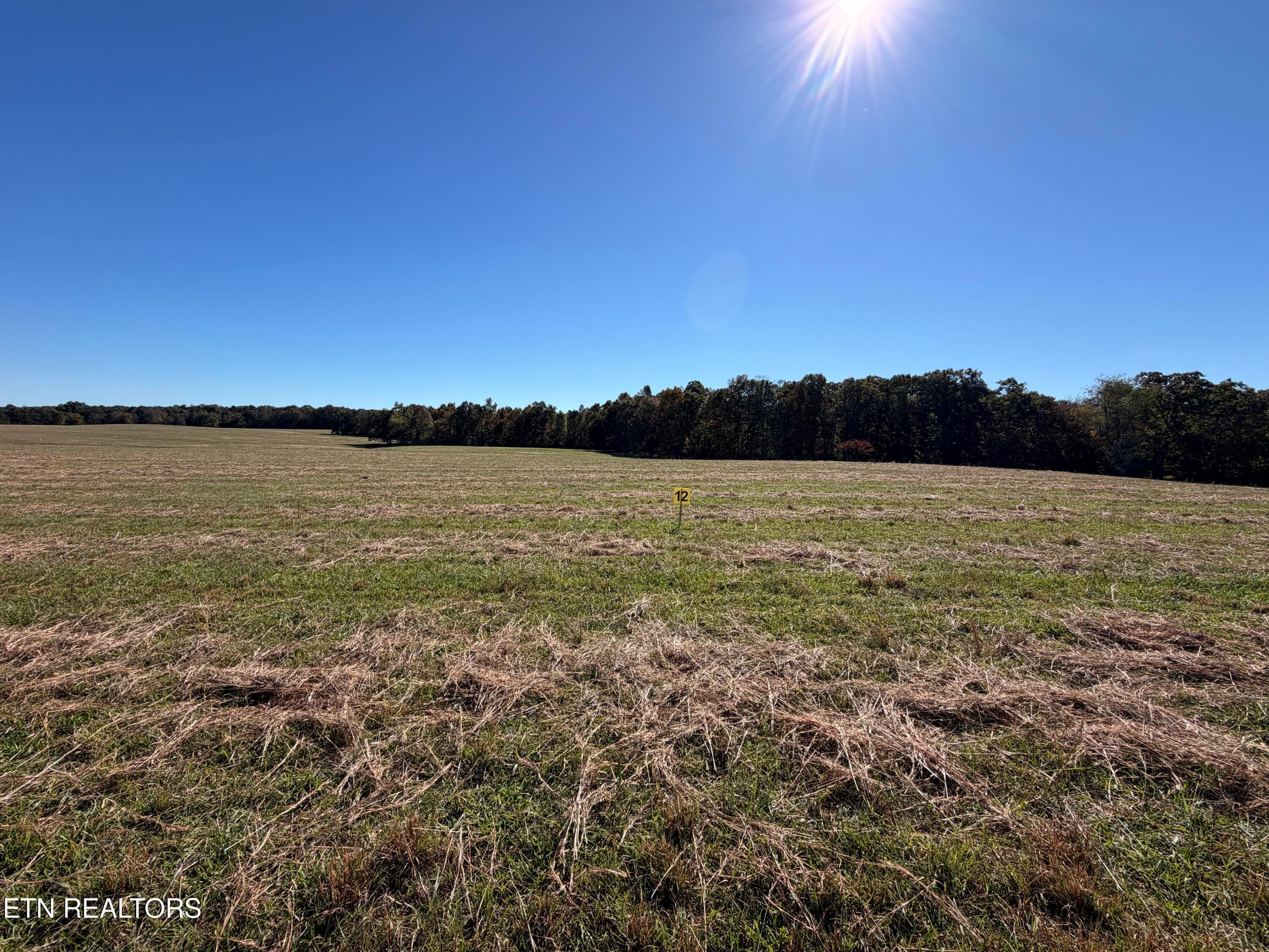 IMG_3433 - Poke Patch Rd, Crossville, TN 38572