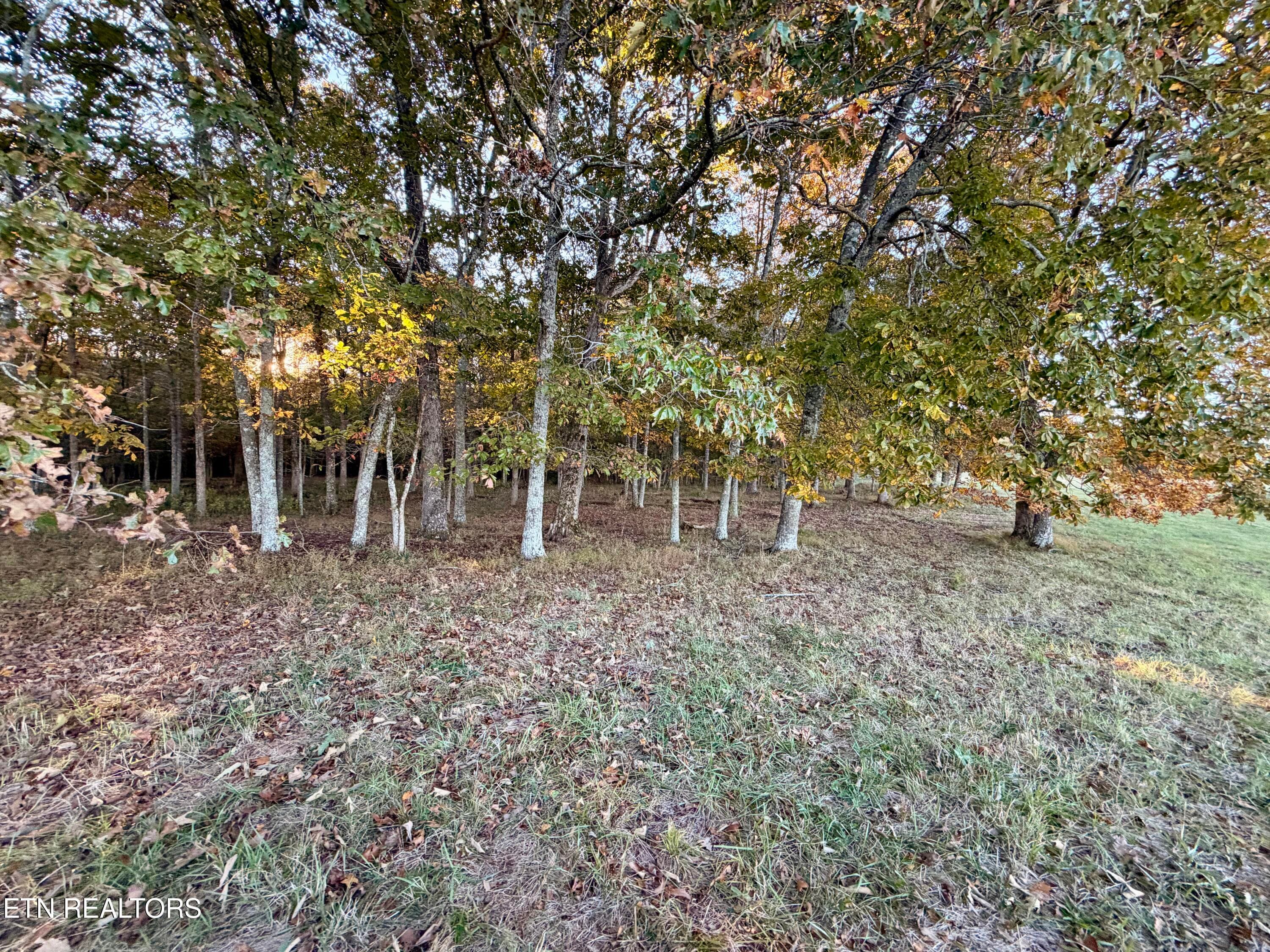 IMG_6146 - Poke Patch Rd, Crossville, TN 38572