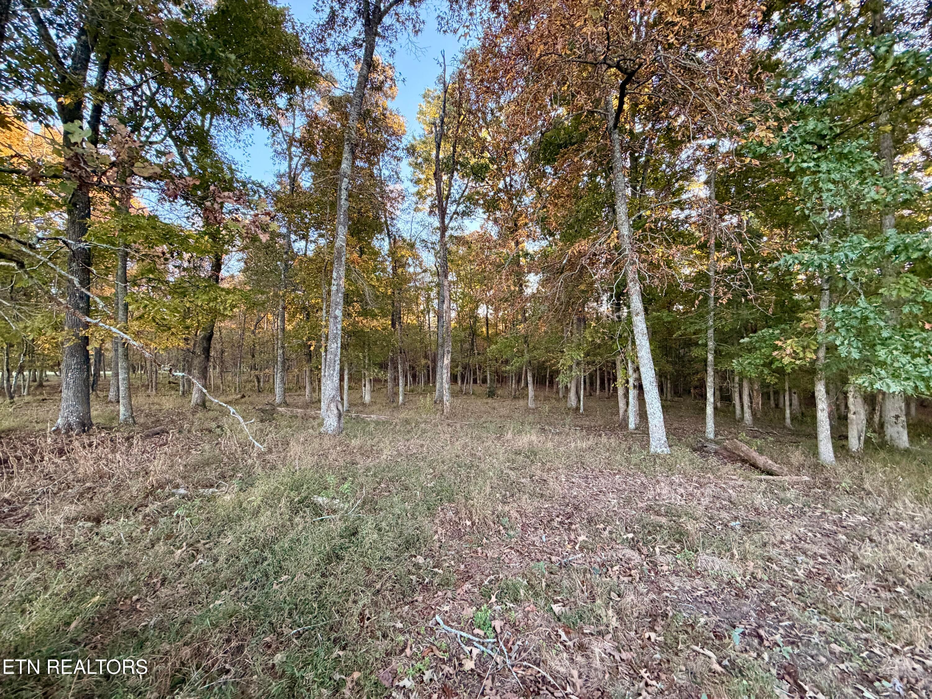 IMG_6148 - Poke Patch Rd, Crossville, TN 38572