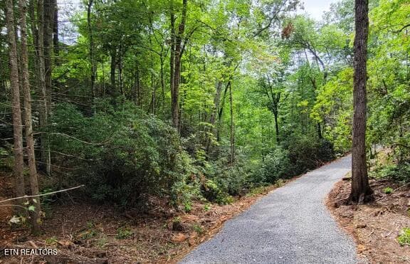 . - Riversong Ridge Way, Sevierville, TN 37876
