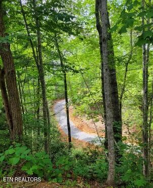 . - Riversong Ridge Way, Sevierville, TN 37876