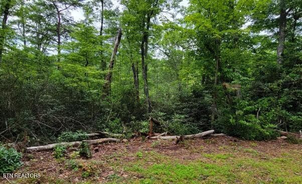 . - Riversong Ridge Way, Sevierville, TN 37876