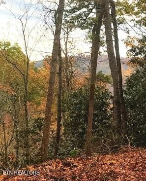 . - Riversong Ridge Way, Sevierville, TN 37876