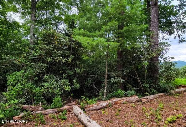 . - Riversong Ridge Way, Sevierville, TN 37876