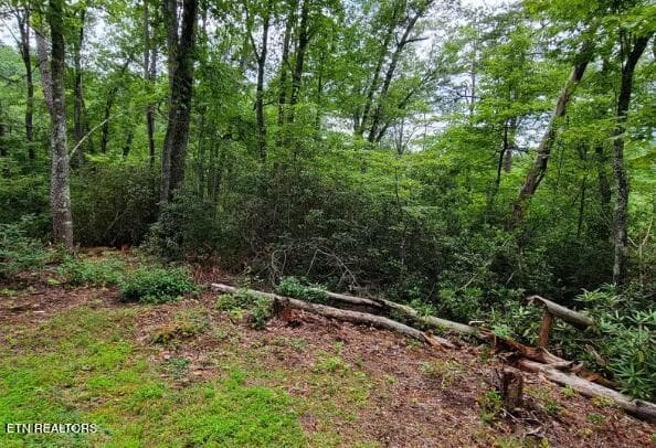 . - Riversong Ridge Way, Sevierville, TN 37876