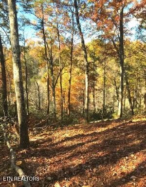 . - Riversong Ridge Way, Sevierville, TN 37876