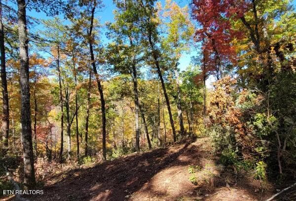 . - Riversong Ridge Way, Sevierville, TN 37876