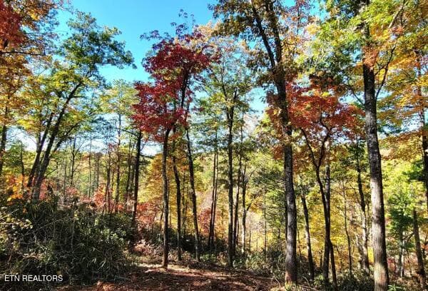 . - Riversong Ridge Way, Sevierville, TN 37876