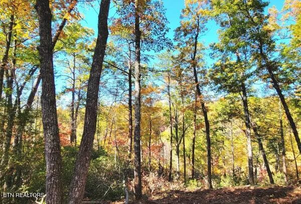 . - Riversong Ridge Way, Sevierville, TN 37876