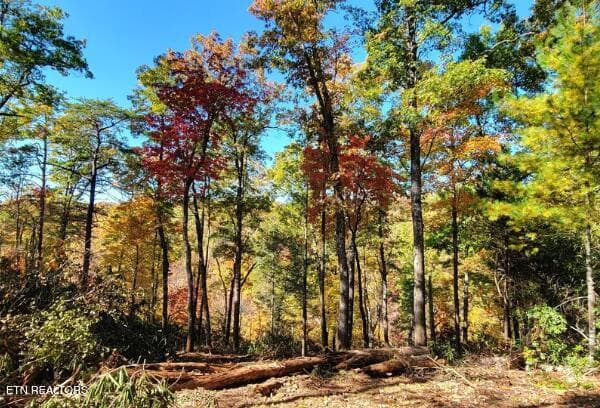 . - Riversong Ridge Way, Sevierville, TN 37876