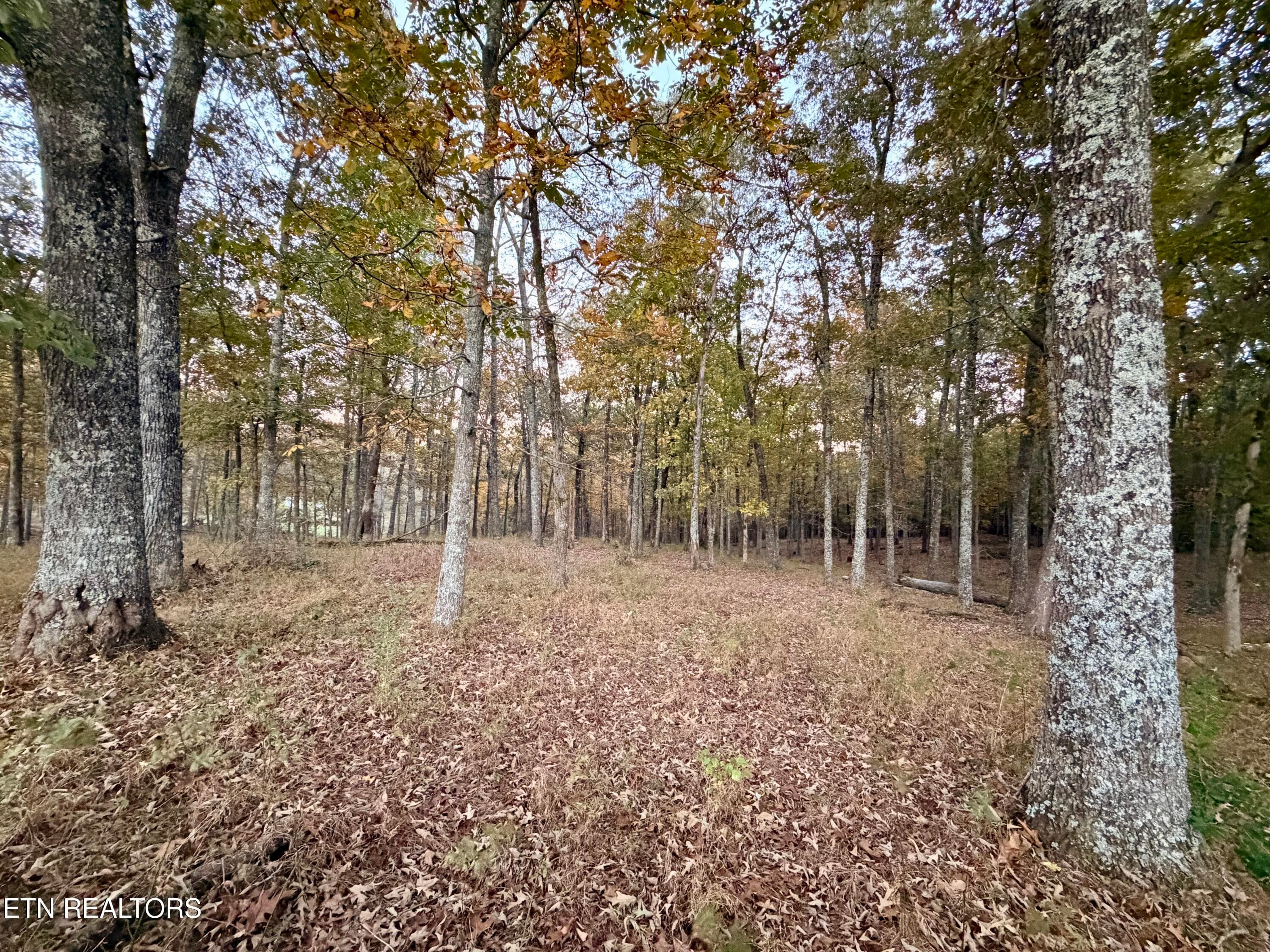 IMG_6162 - Poke Patch Rd, Crossville, TN 38572