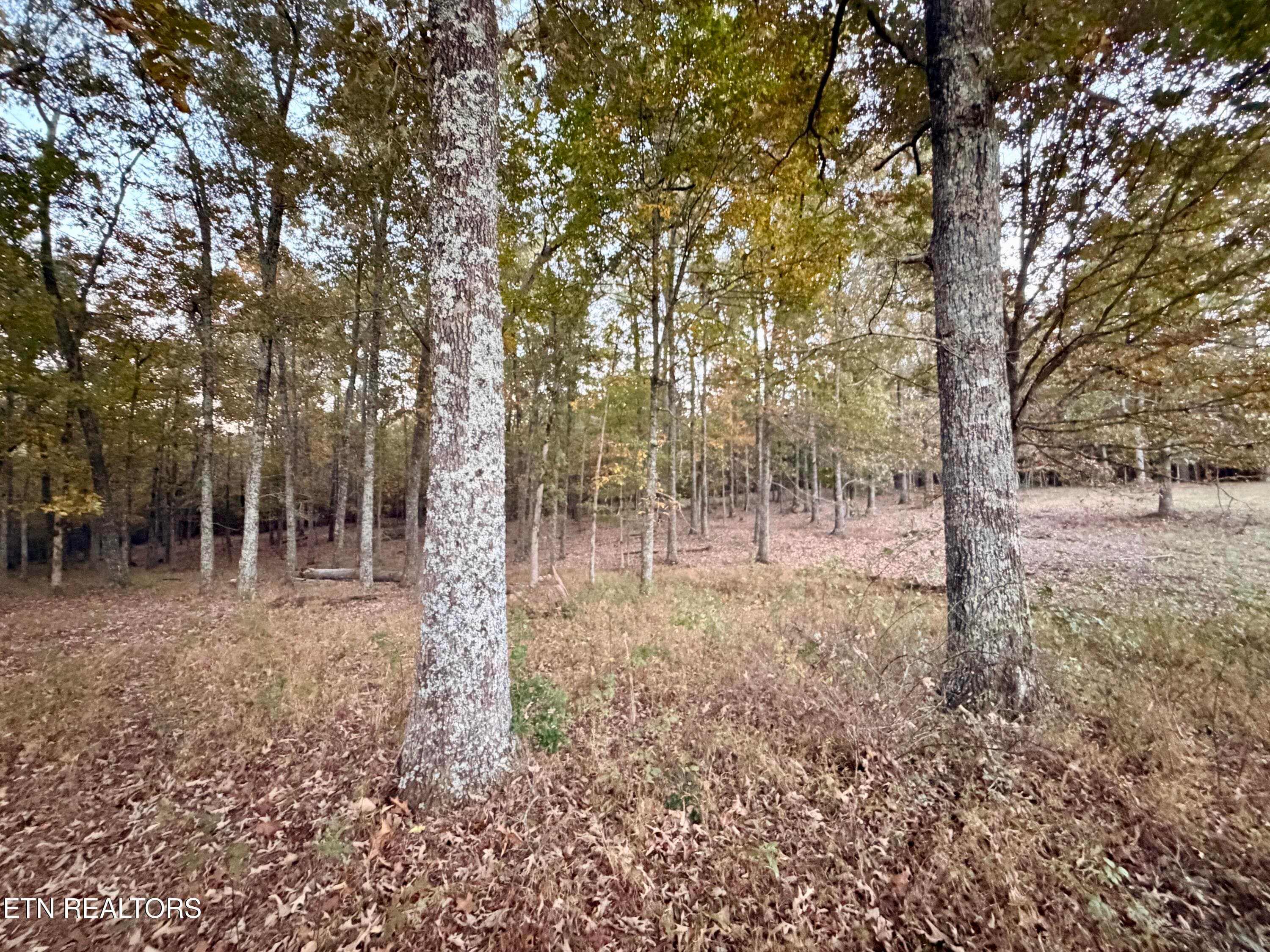 IMG_6163 - Poke Patch Rd, Crossville, TN 38572