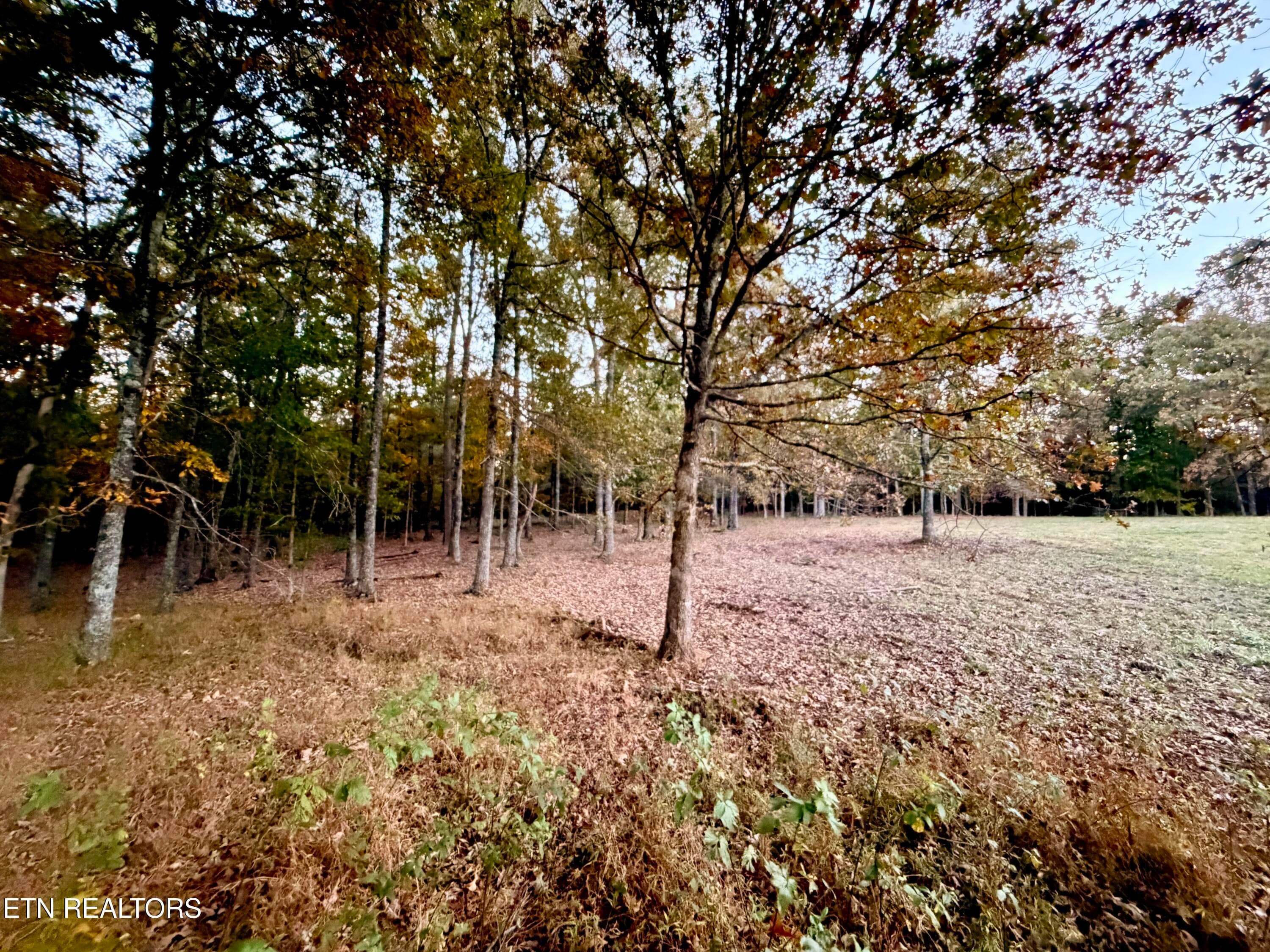IMG_6164 - Poke Patch Rd, Crossville, TN 38572