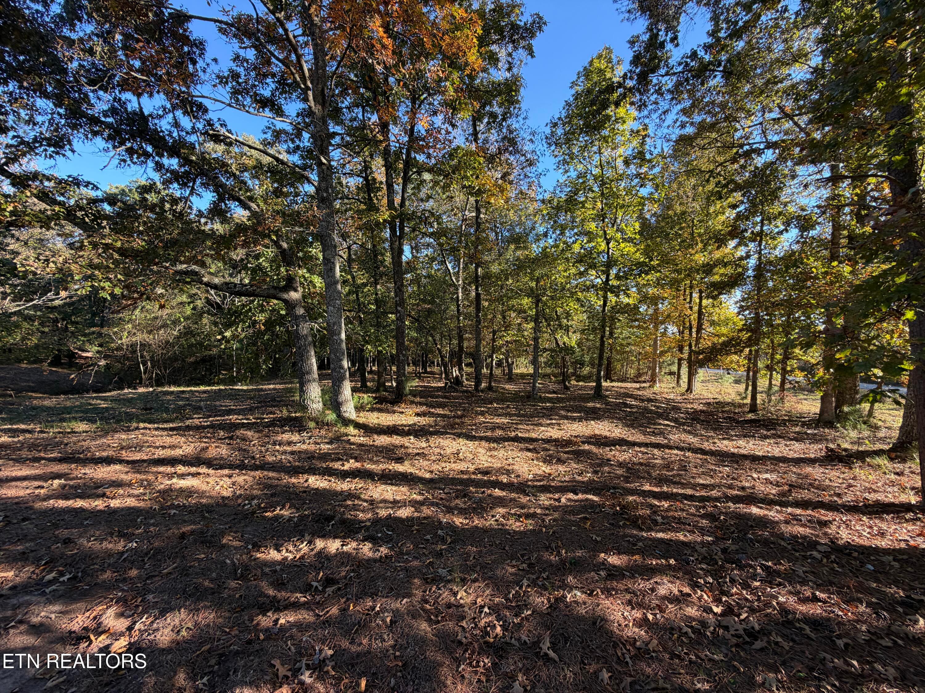 Poke Patch Rd, Crossville, TN 38572