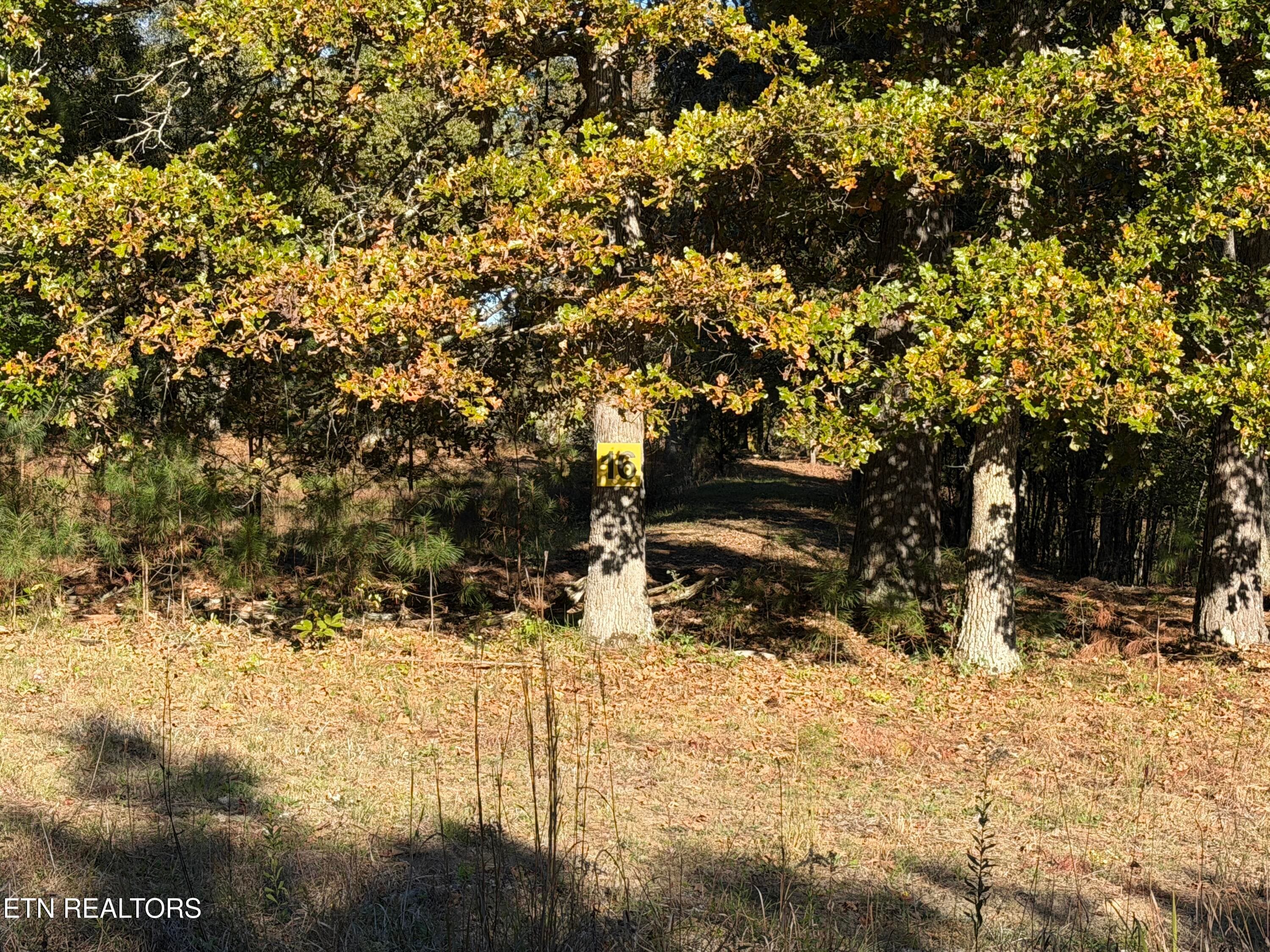 1 IMG_3458 - Poke Patch Rd, Crossville, TN 38572