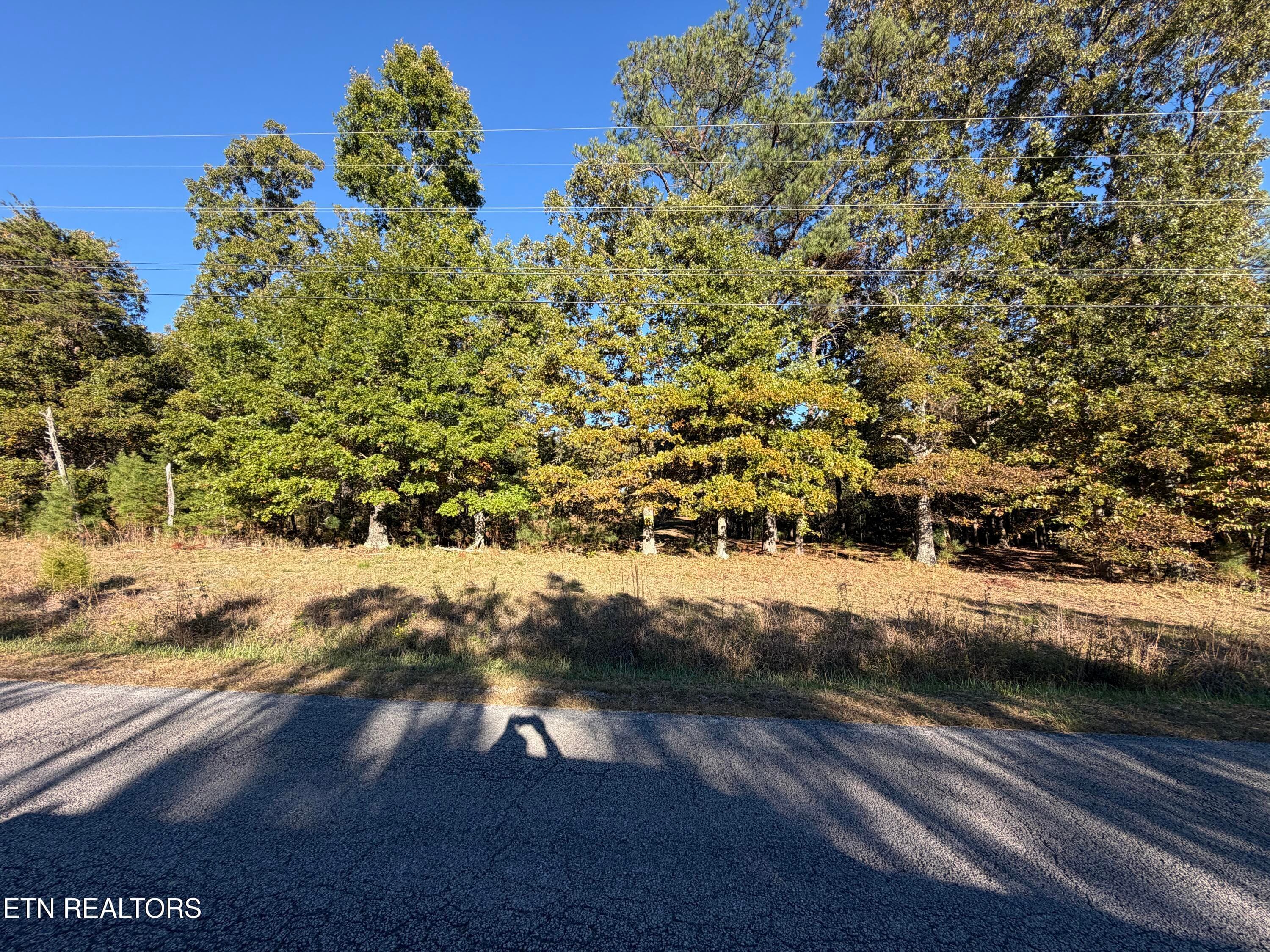 IMG_3459 - Poke Patch Rd, Crossville, TN 38572