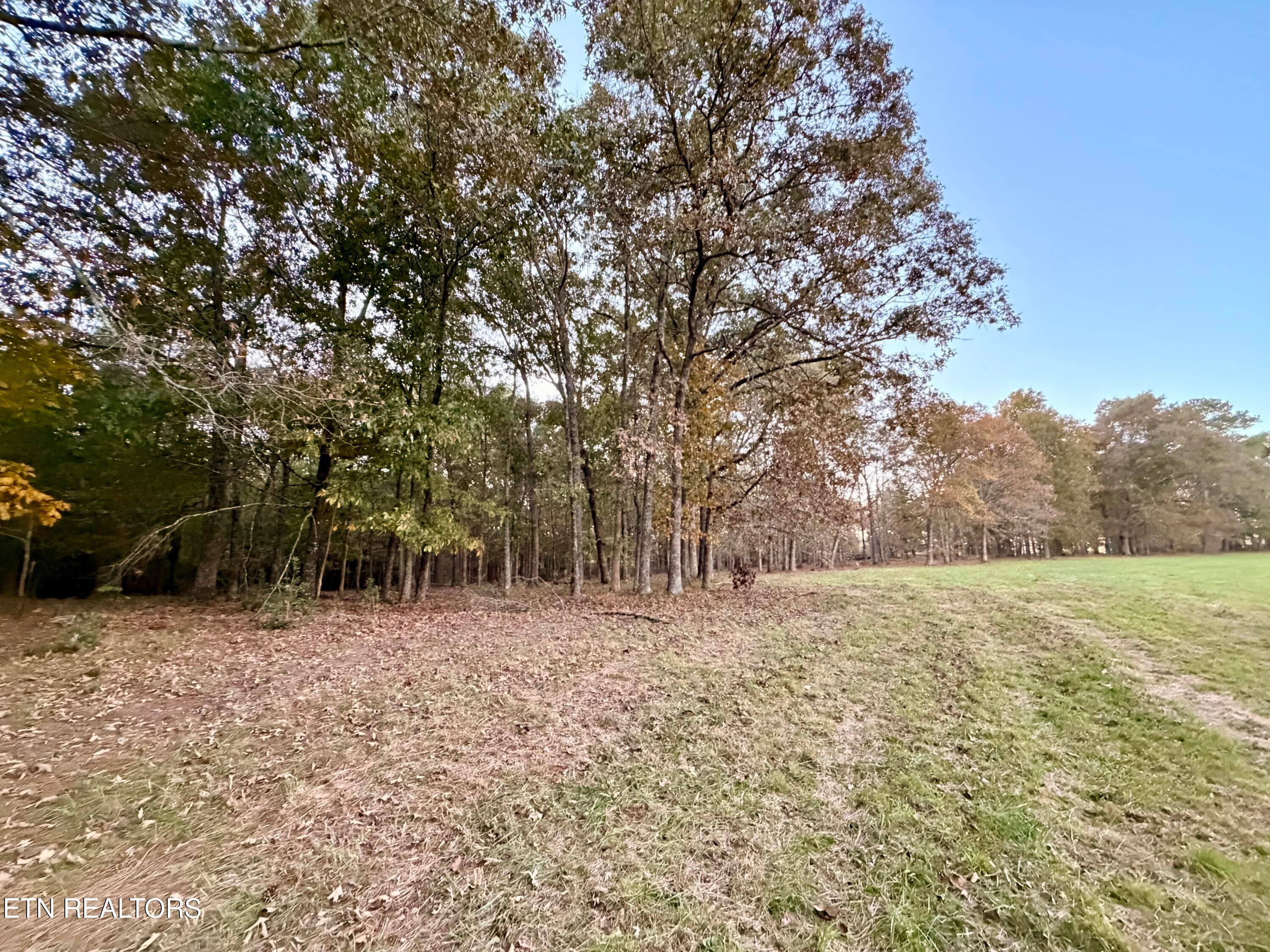 IMG_6165 - Poke Patch Rd, Crossville, TN 38572