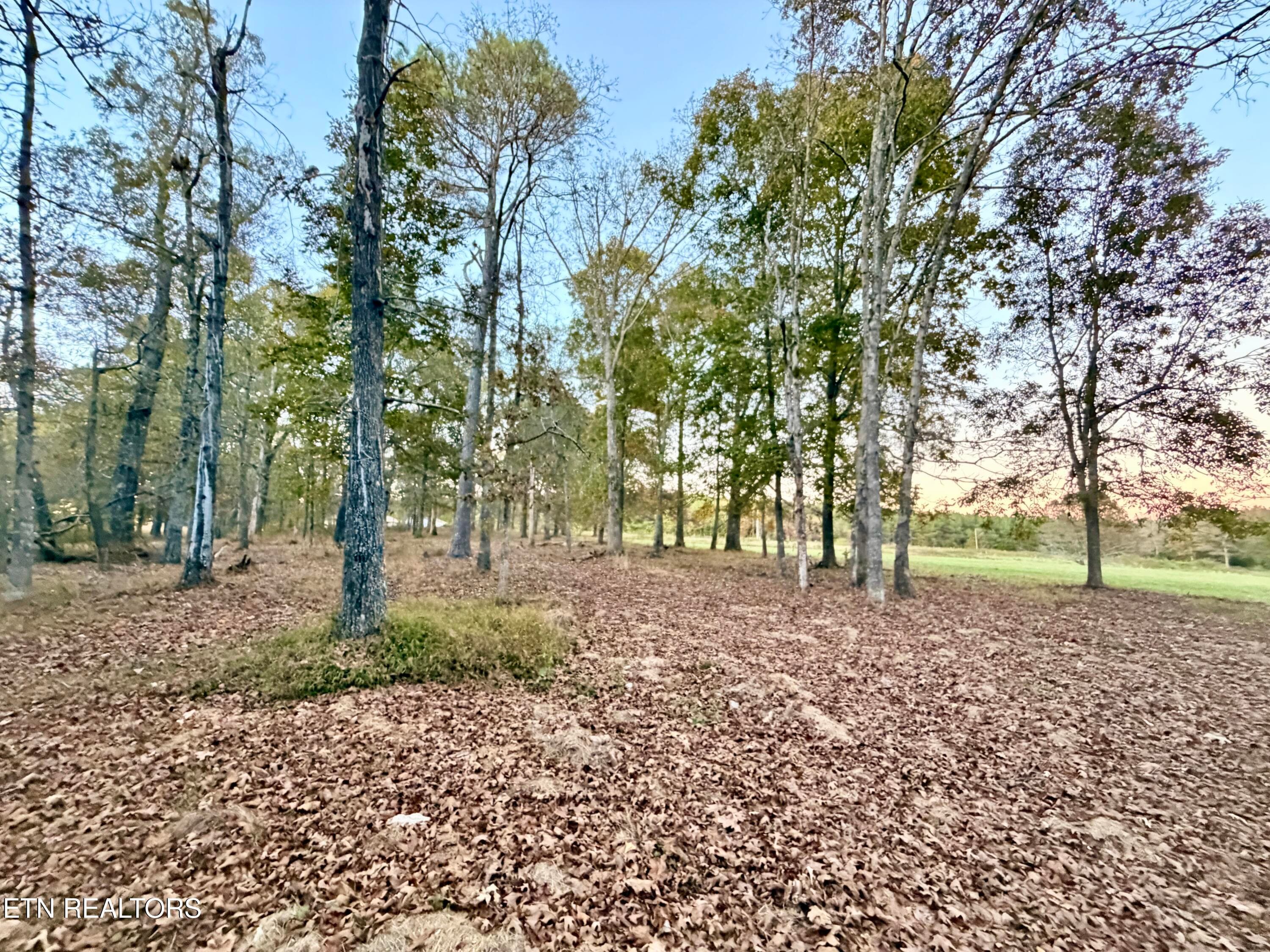 IMG_6167 - Poke Patch Rd, Crossville, TN 38572