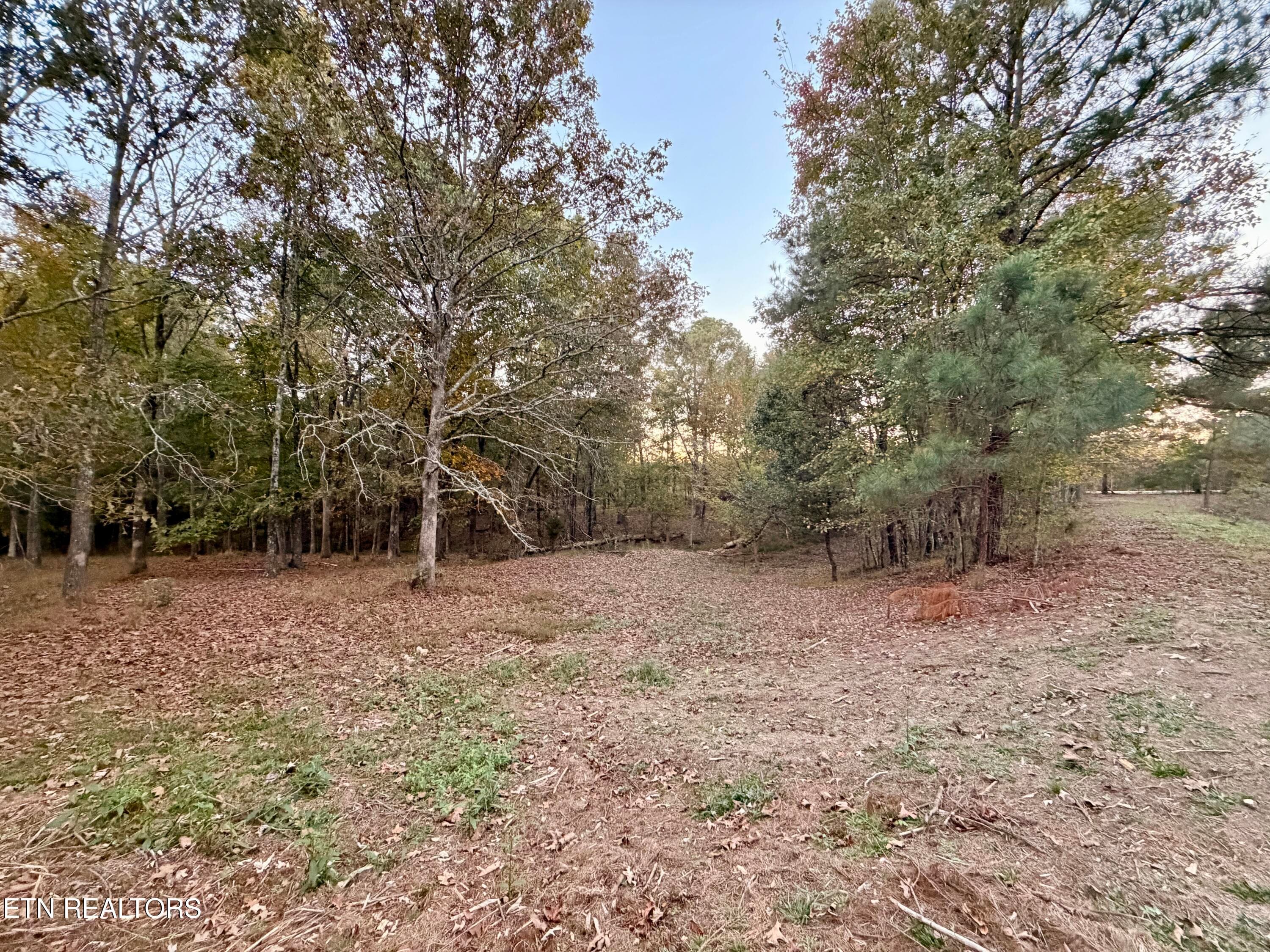 IMG_6168 - Poke Patch Rd, Crossville, TN 38572