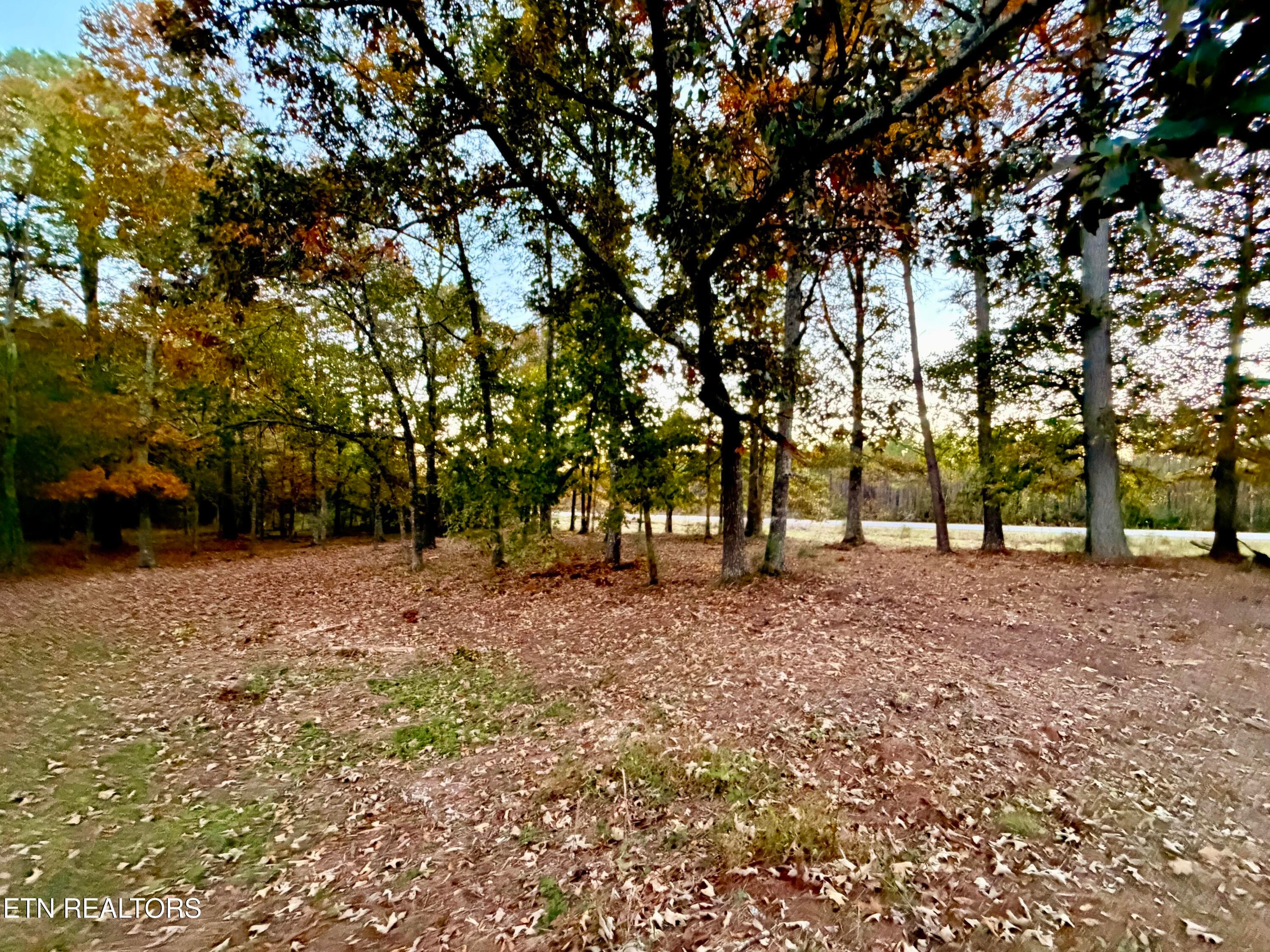 IMG_6169 - Poke Patch Rd, Crossville, TN 38572
