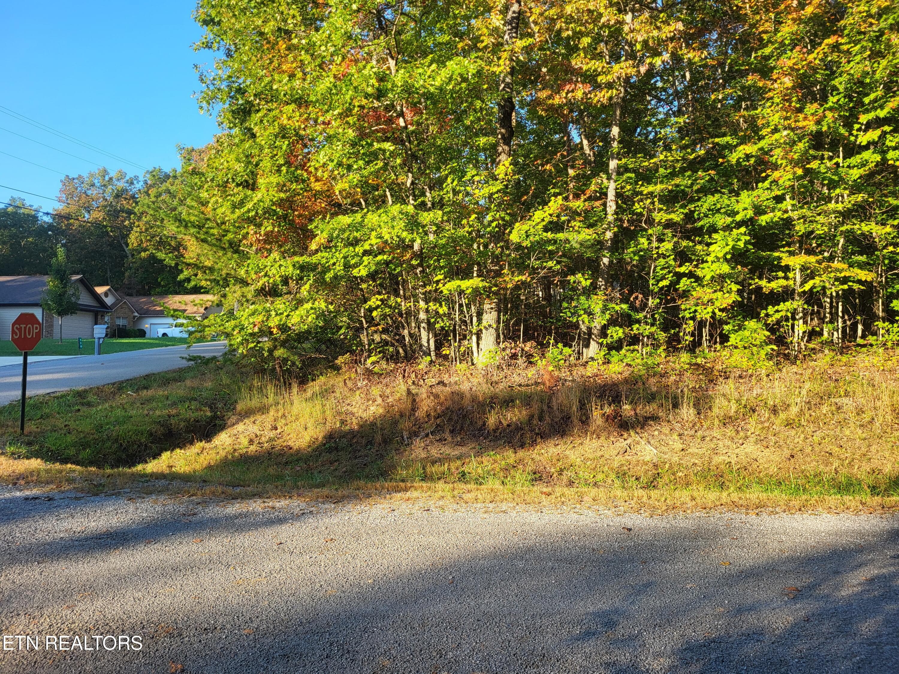 11 Hartlepool Terrace, Crossville, TN 38558