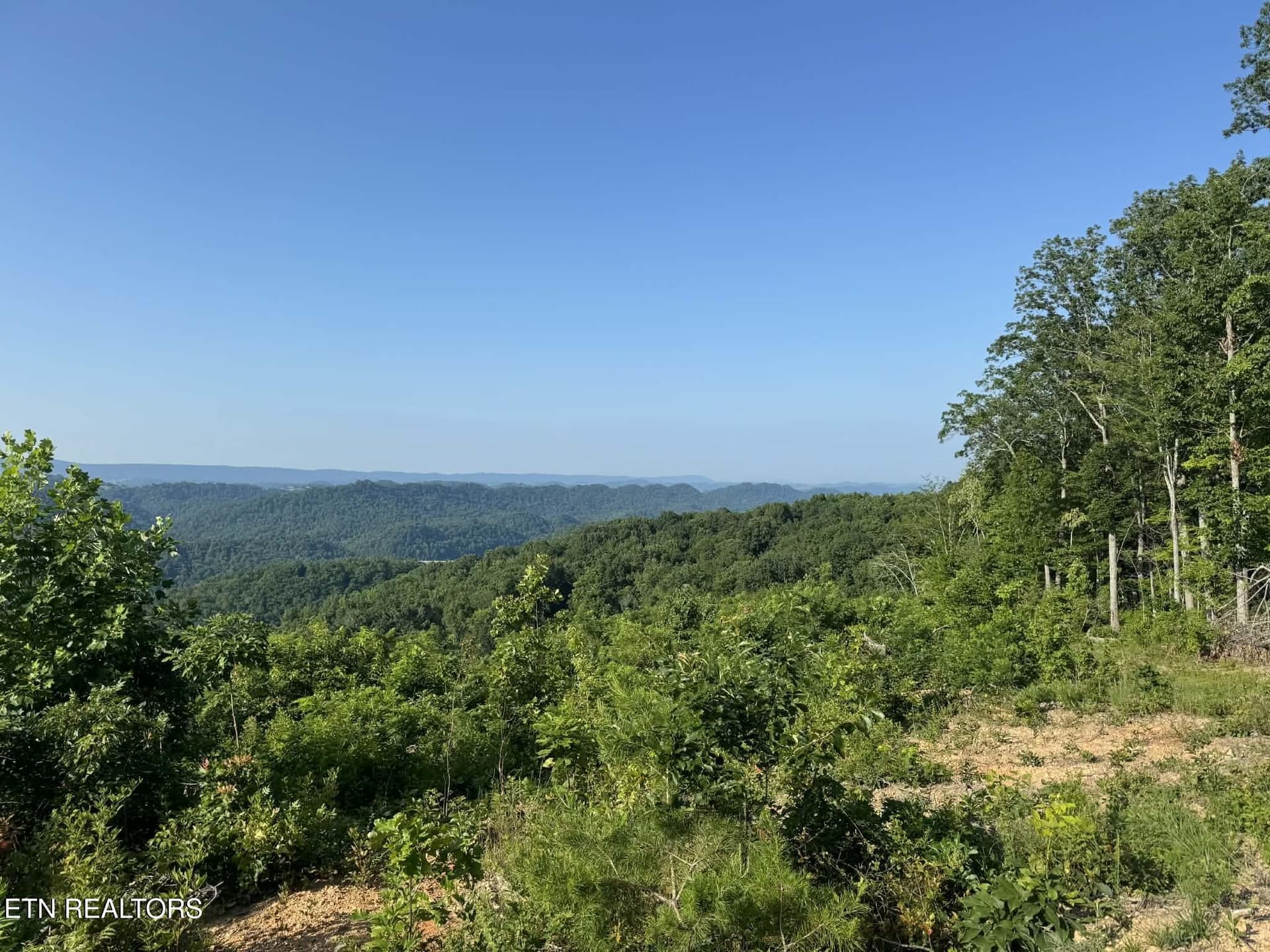 Tower Rd, Tazewell, TN 37879