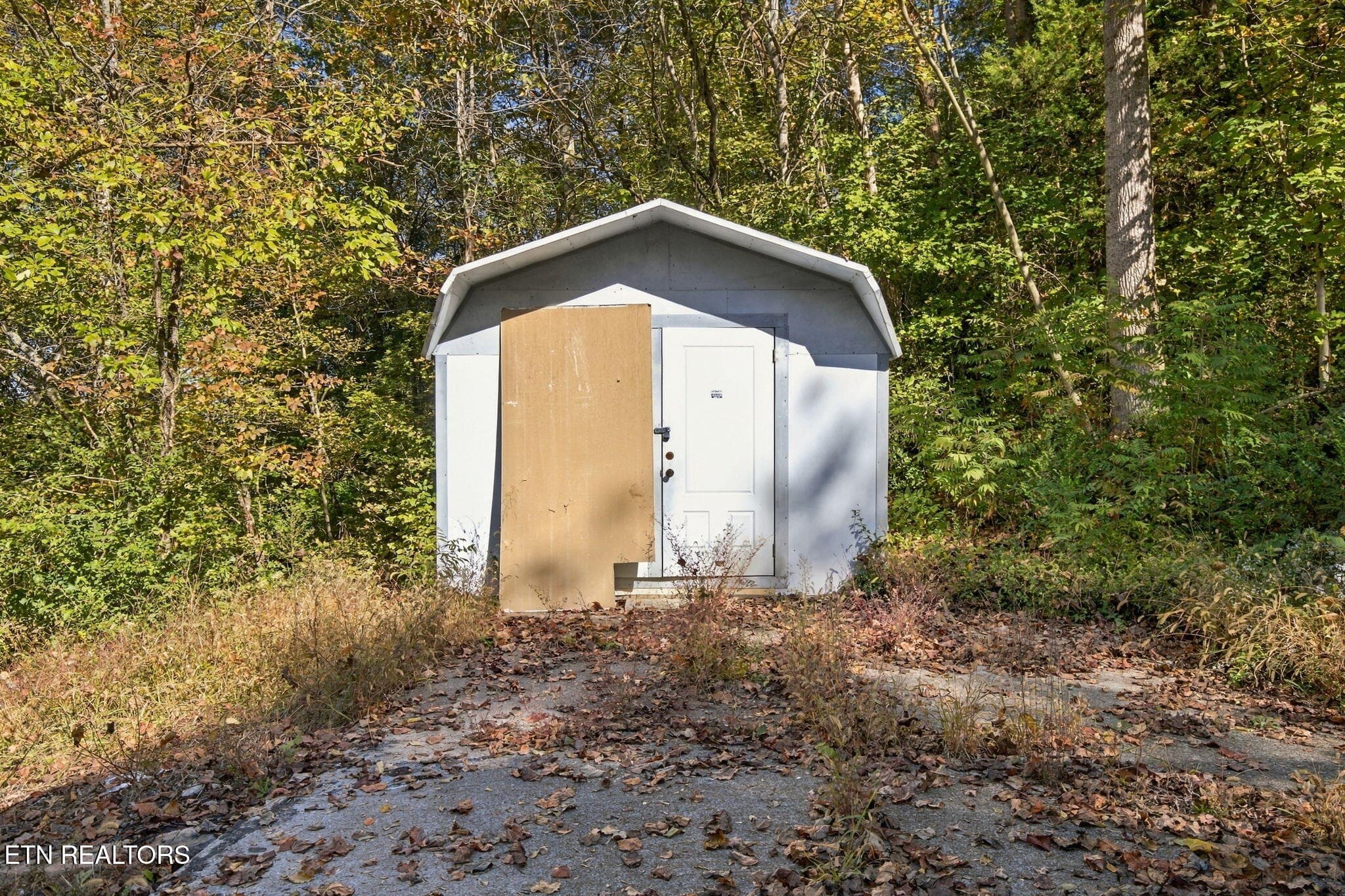 8-web-or-mls-DZ3A5884 - 188 Green Lane, Powell, TN 37849