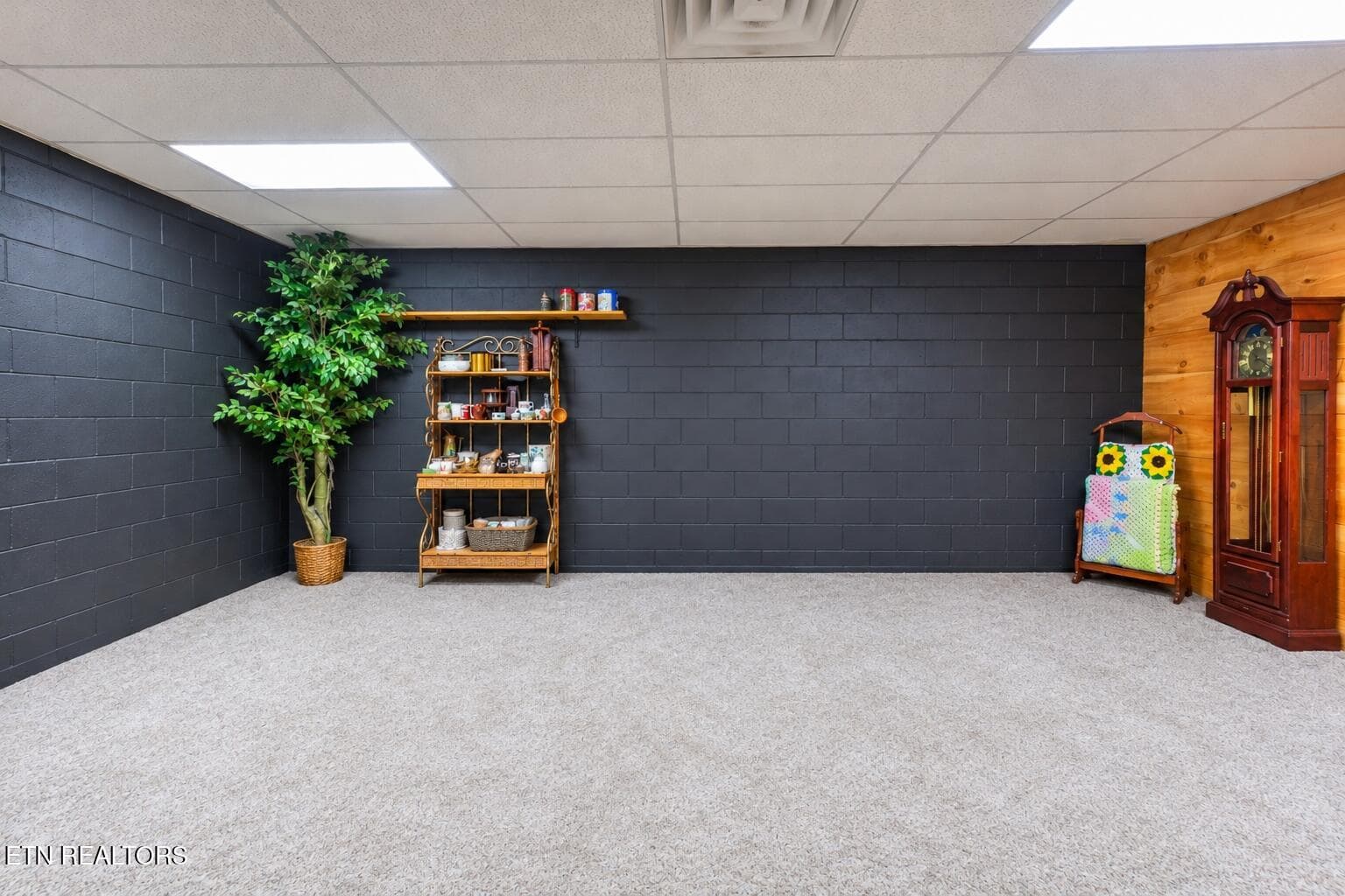 Finished Basement Flex Room - 1668 Deerwood Rd, Newport, TN 37821