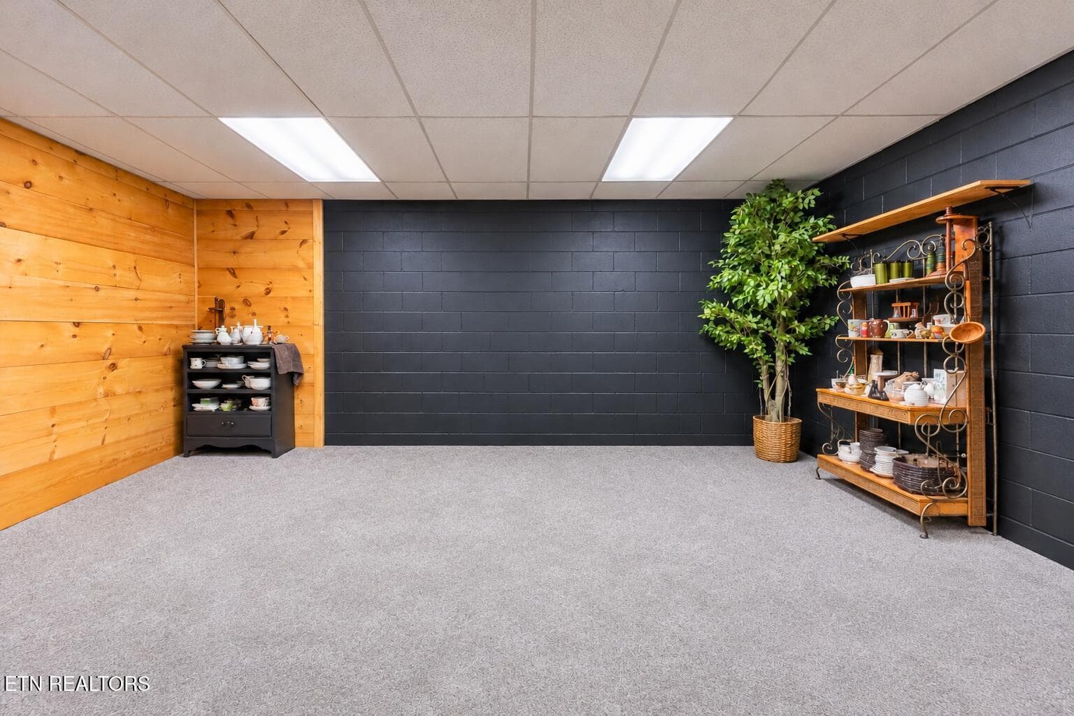 Finished Basement Flex Room - 1668 Deerwood Rd, Newport, TN 37821