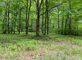903 W Wadi Road W, Pocono Lake, PA 18347