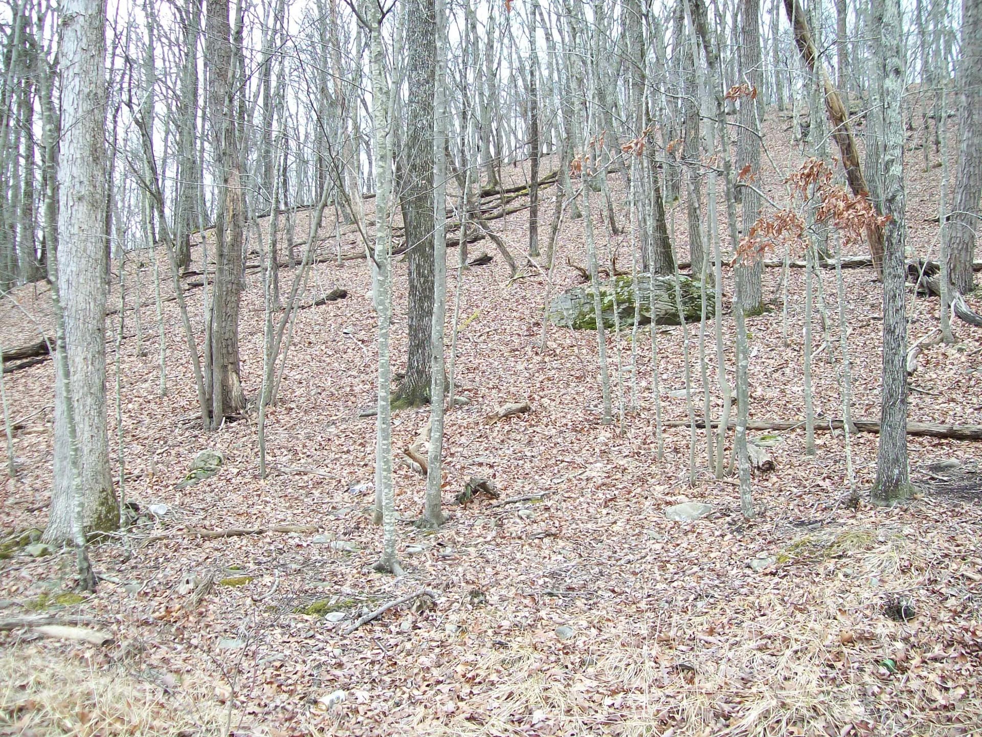 2.65 Acres Decker rd, Bushkill, PA 18324
