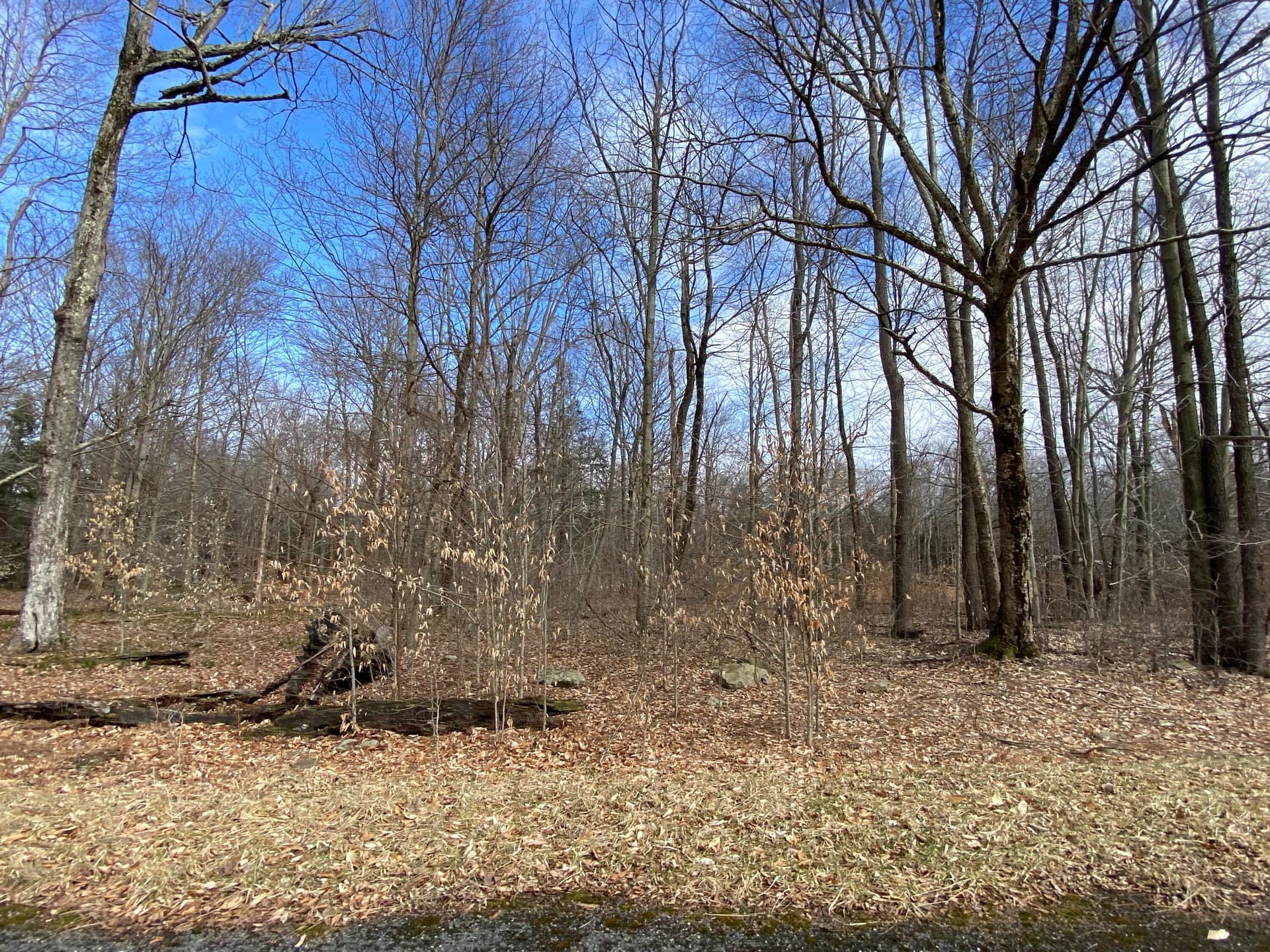 1020 W Wadi Road W, Pocono Lake, PA 18347
