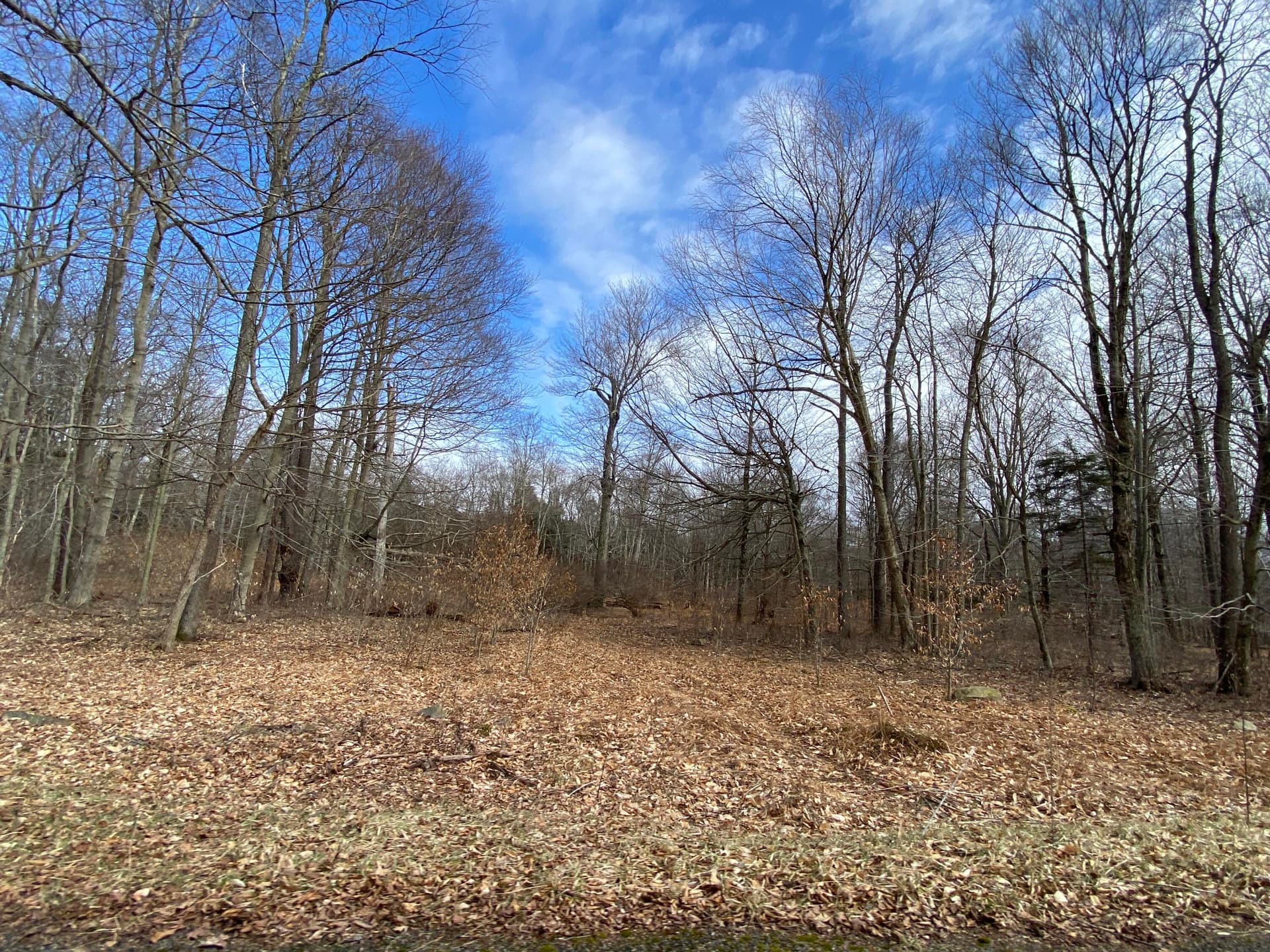 1022 W Wadi Road W, Pocono Lake, PA 18347