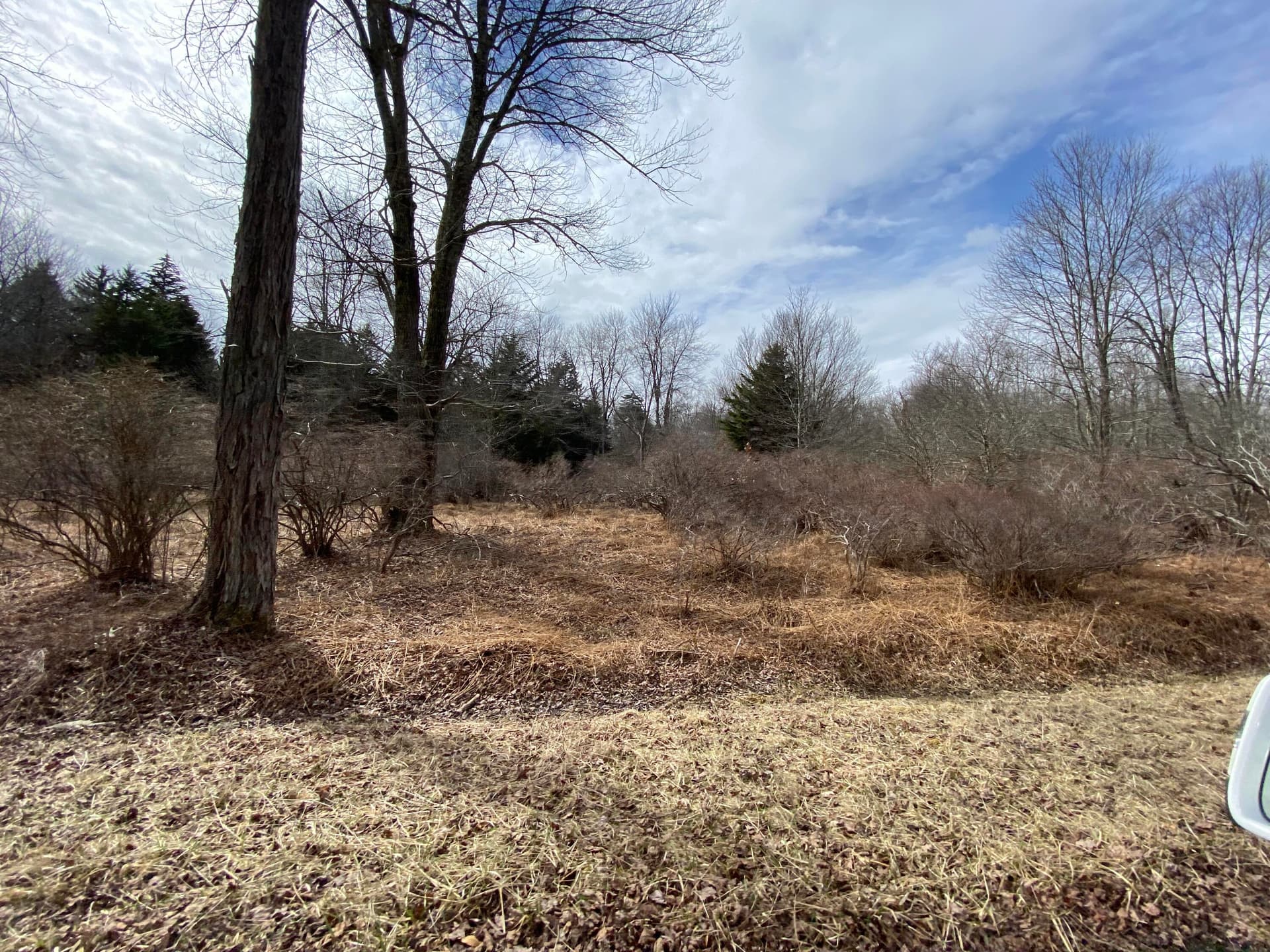 908 Wadi Road W, Pocono Lake, PA 18347