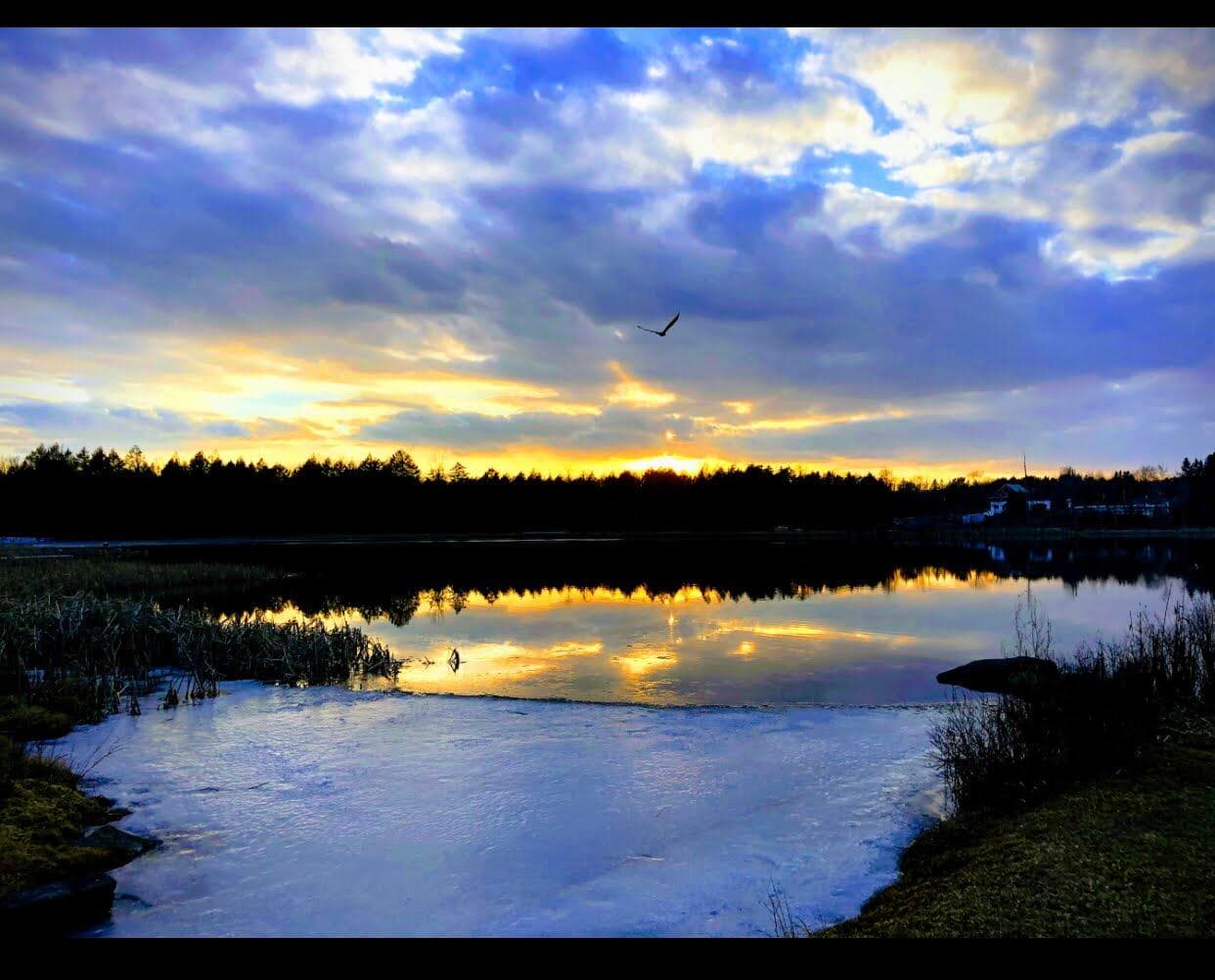 IMG_7336 - 910 Wadi Road W, Pocono Lake, PA 18347