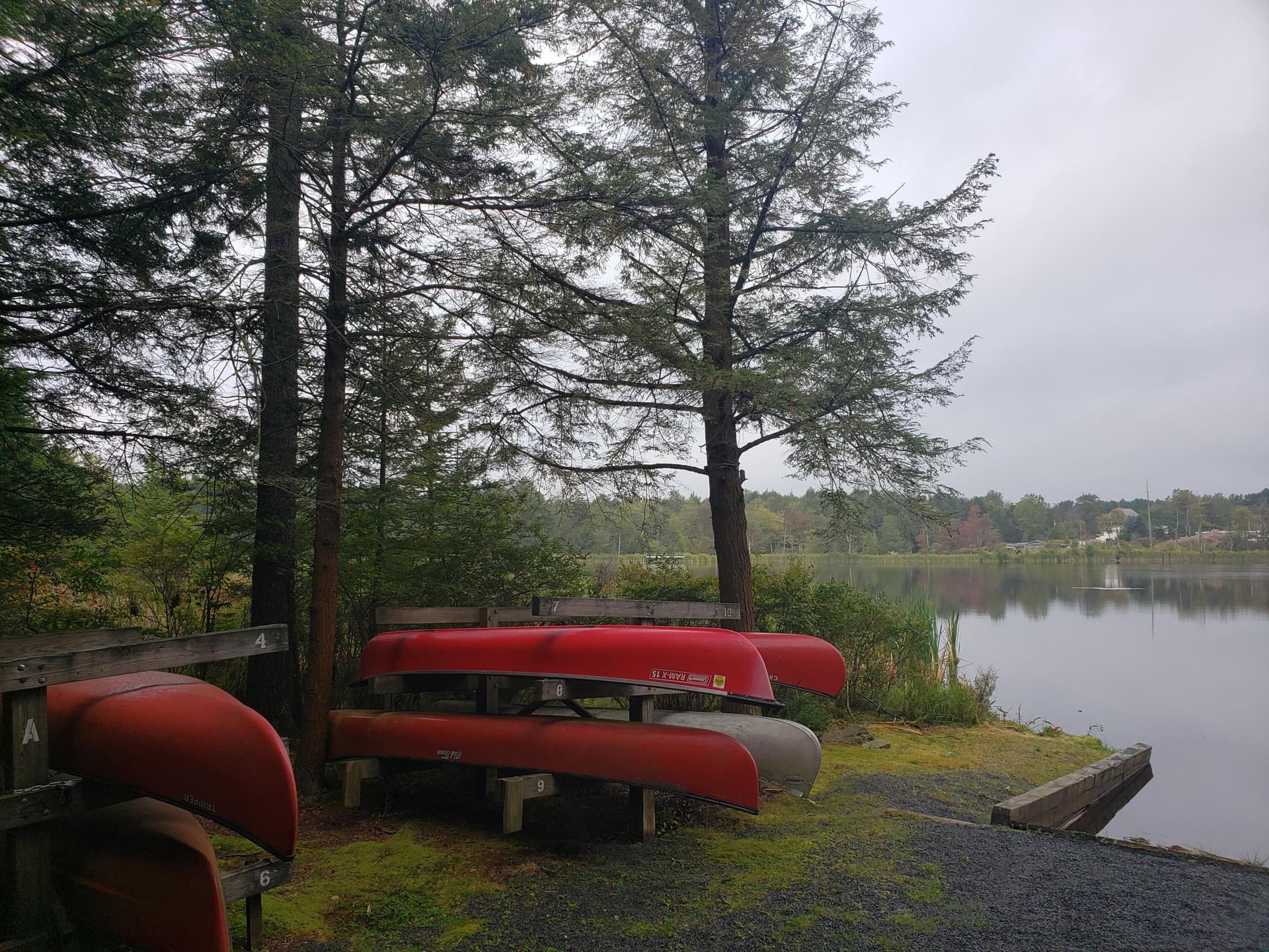 20190910_080221 - 910 Wadi Road W, Pocono Lake, PA 18347