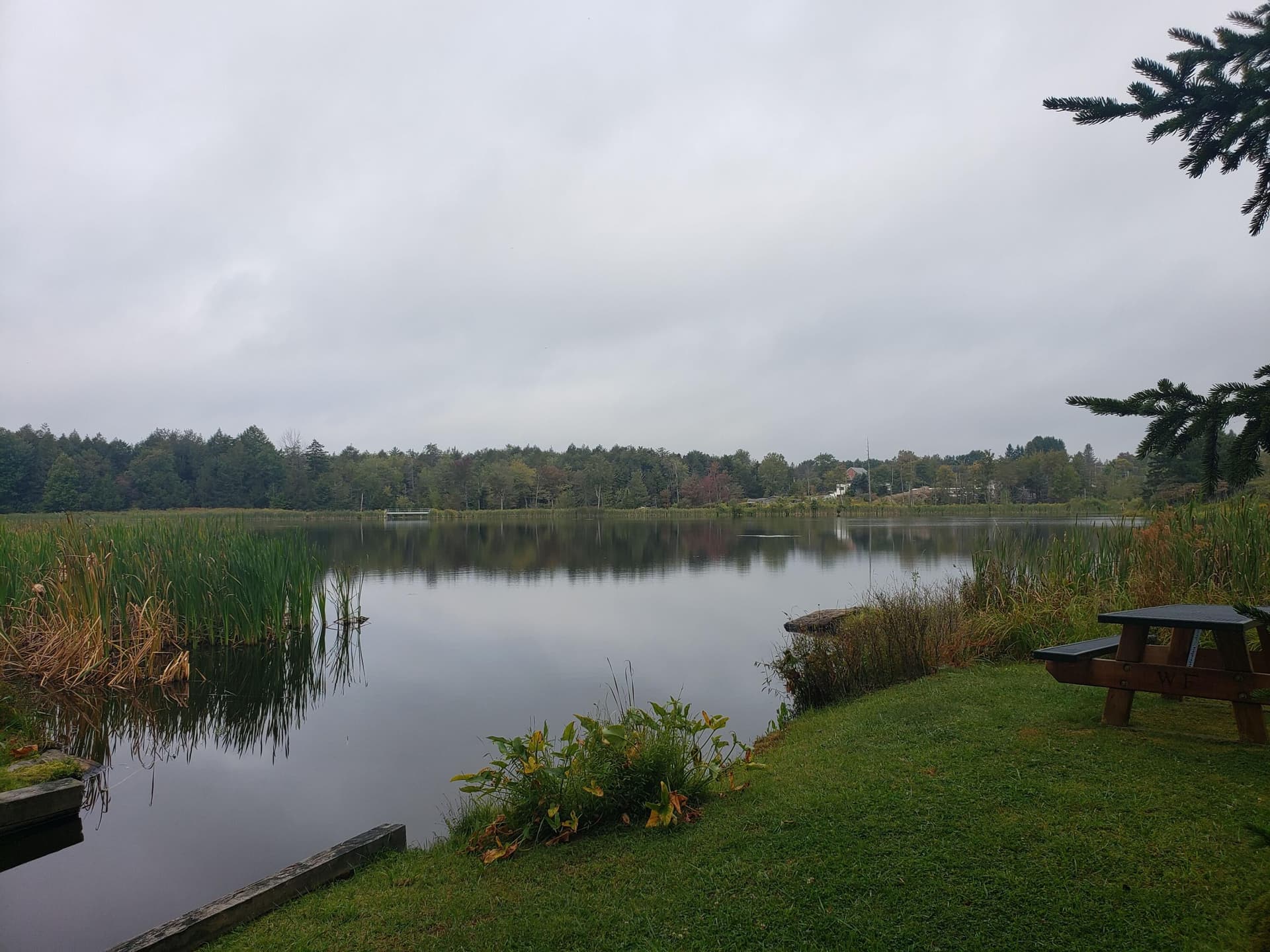20190910_080235 - 910 Wadi Road W, Pocono Lake, PA 18347