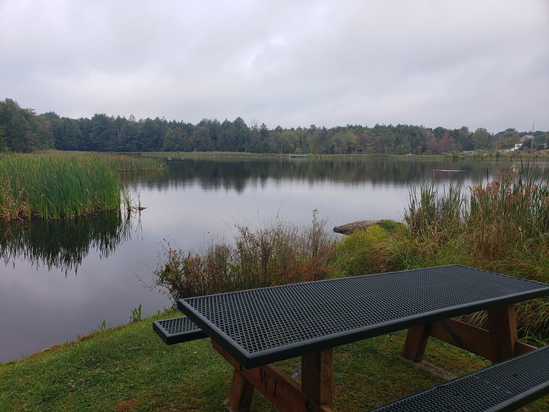 20190910_080251 - 910 Wadi Road W, Pocono Lake, PA 18347